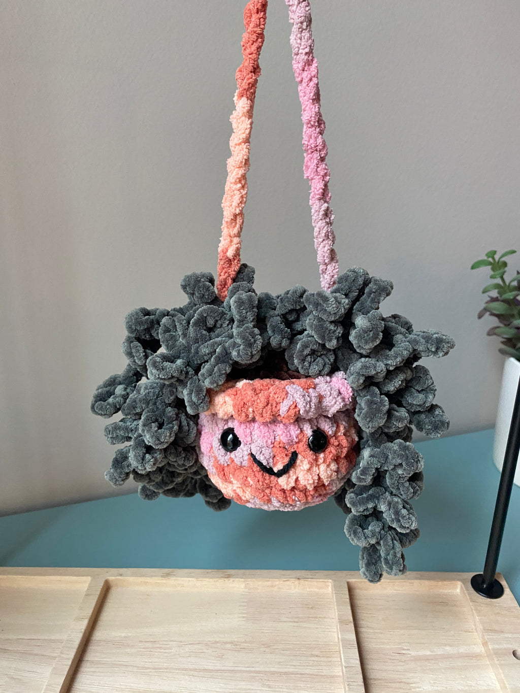 Hanging Plant - Burrow’s Tail