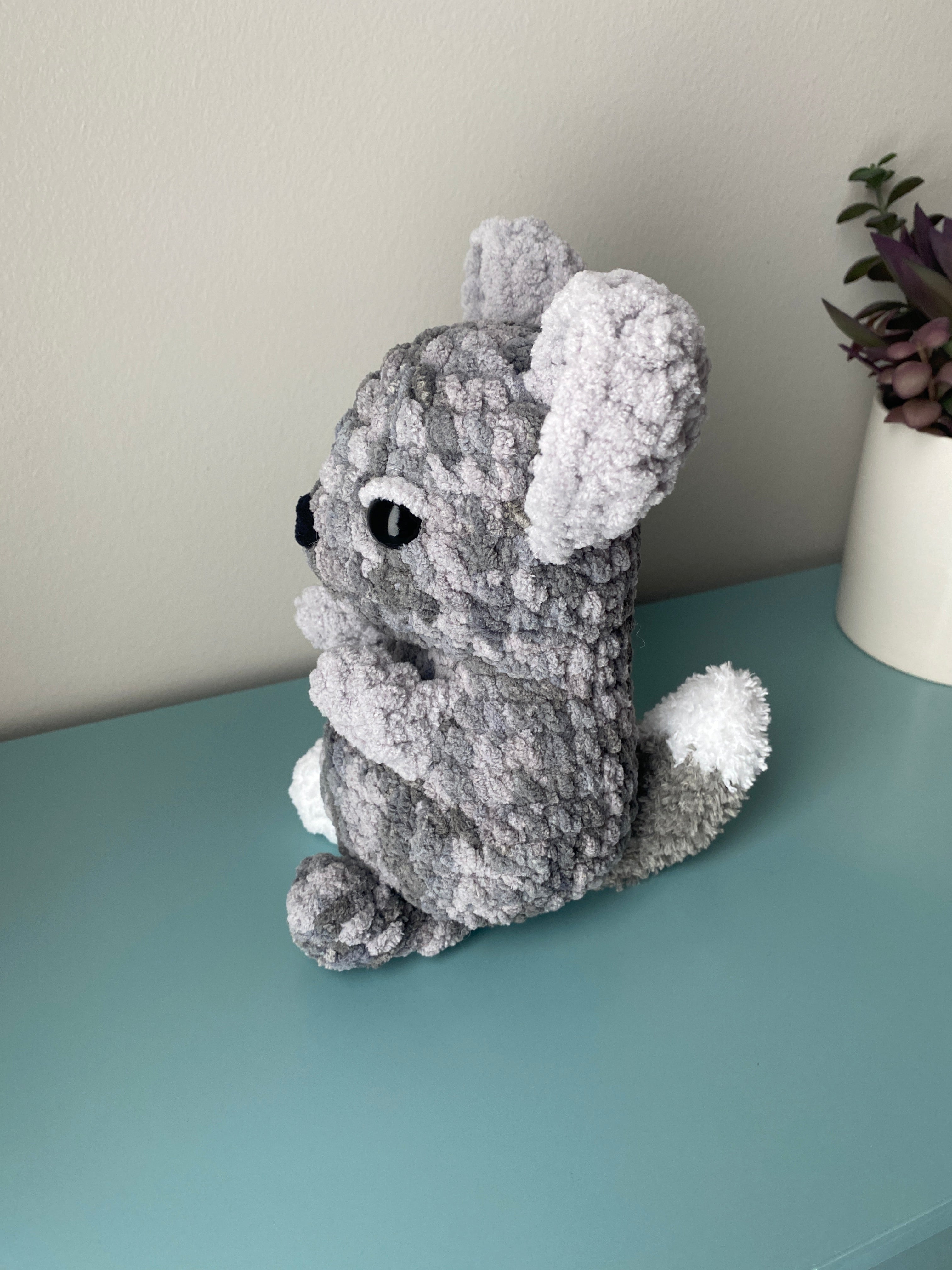Chinchilla