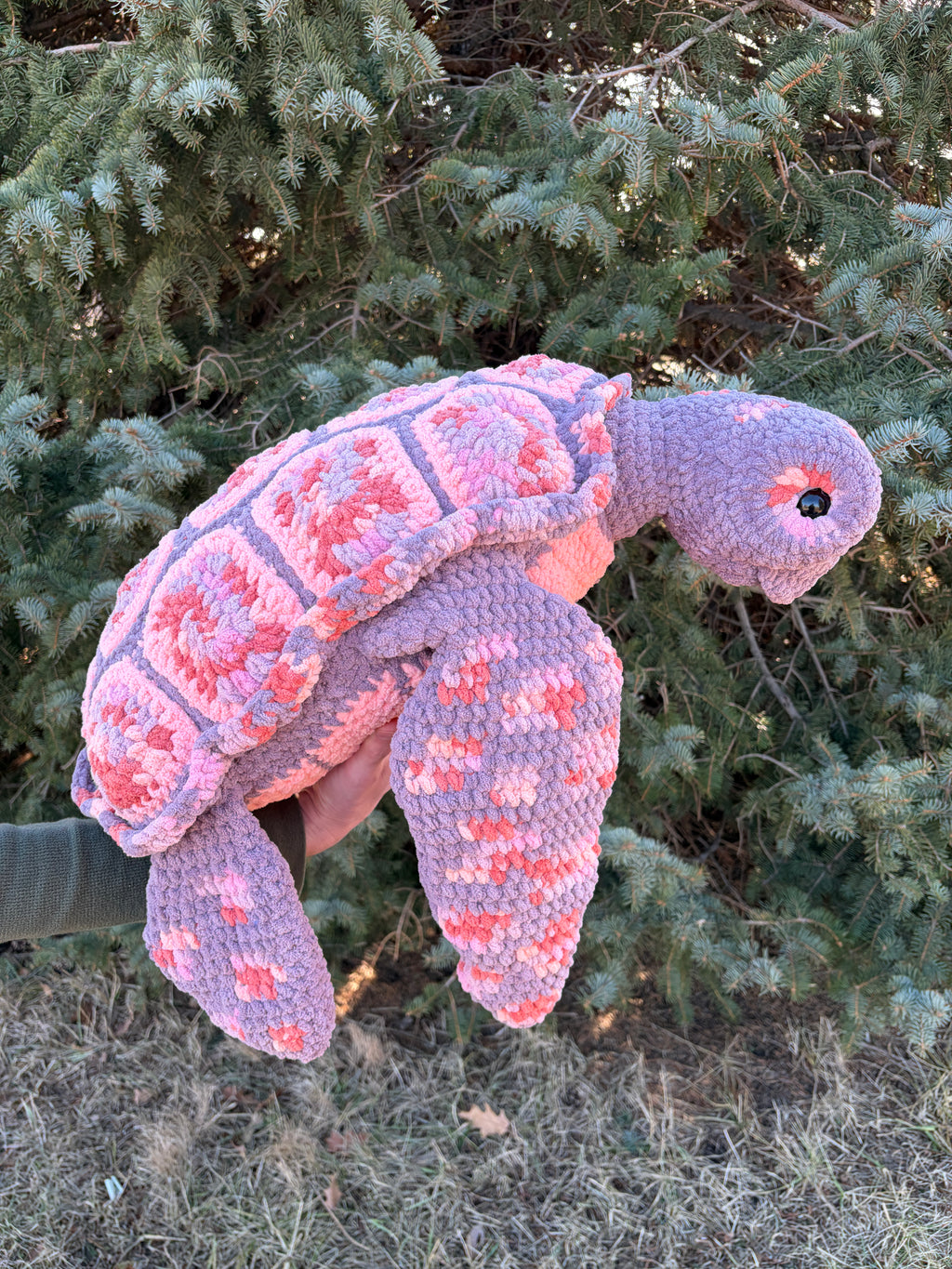 Salish the Sea Turtle