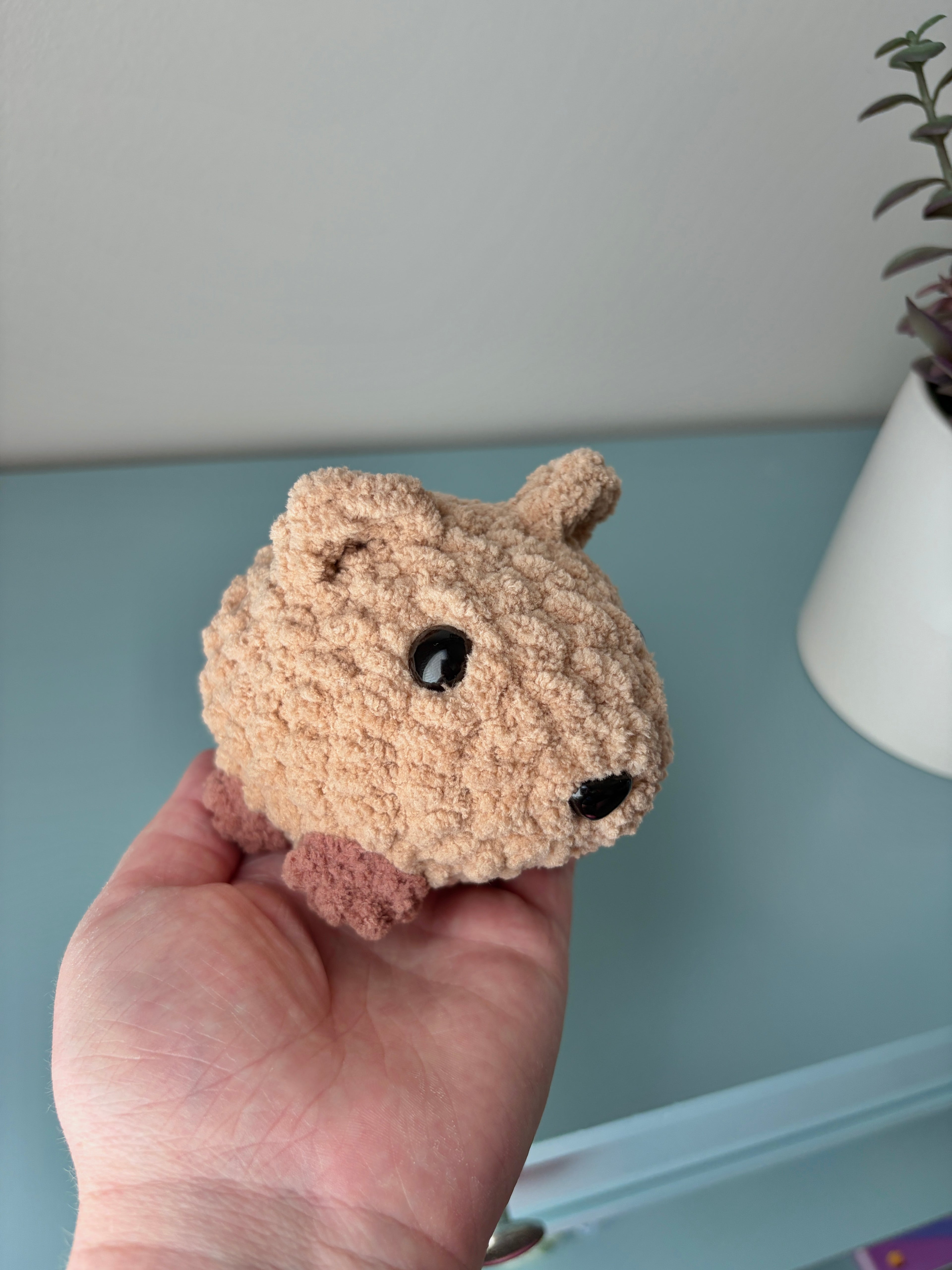 Pet - small