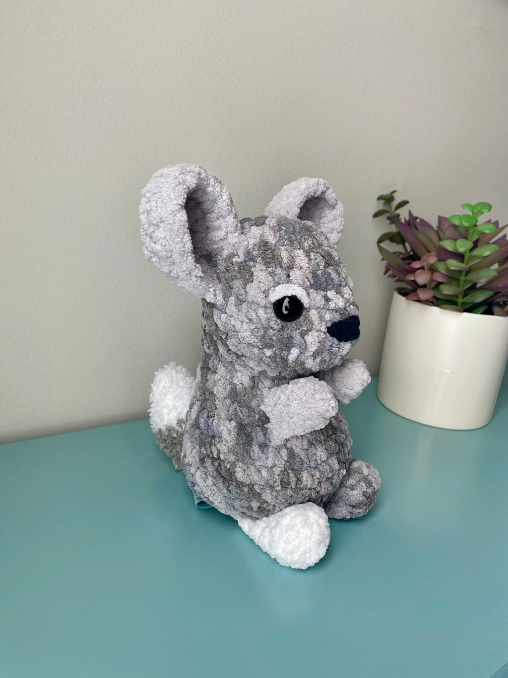 Chinchilla