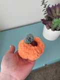 Pumpkin