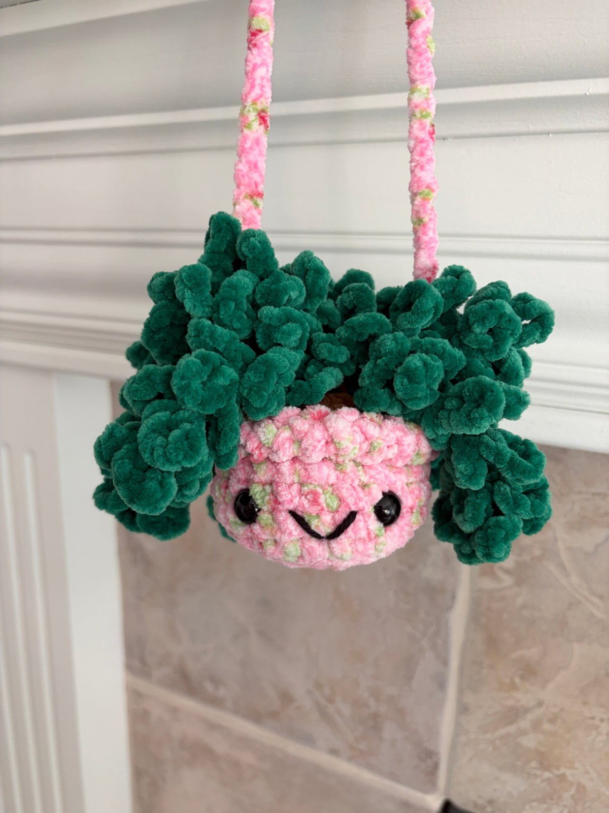 Hanging Plant - Burrow’s Tail