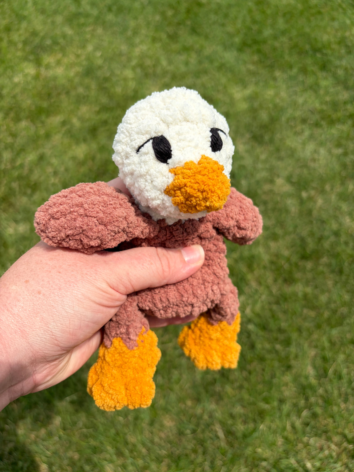 Eagle Bub