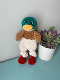 Baby Daniel the Duck Snuggler