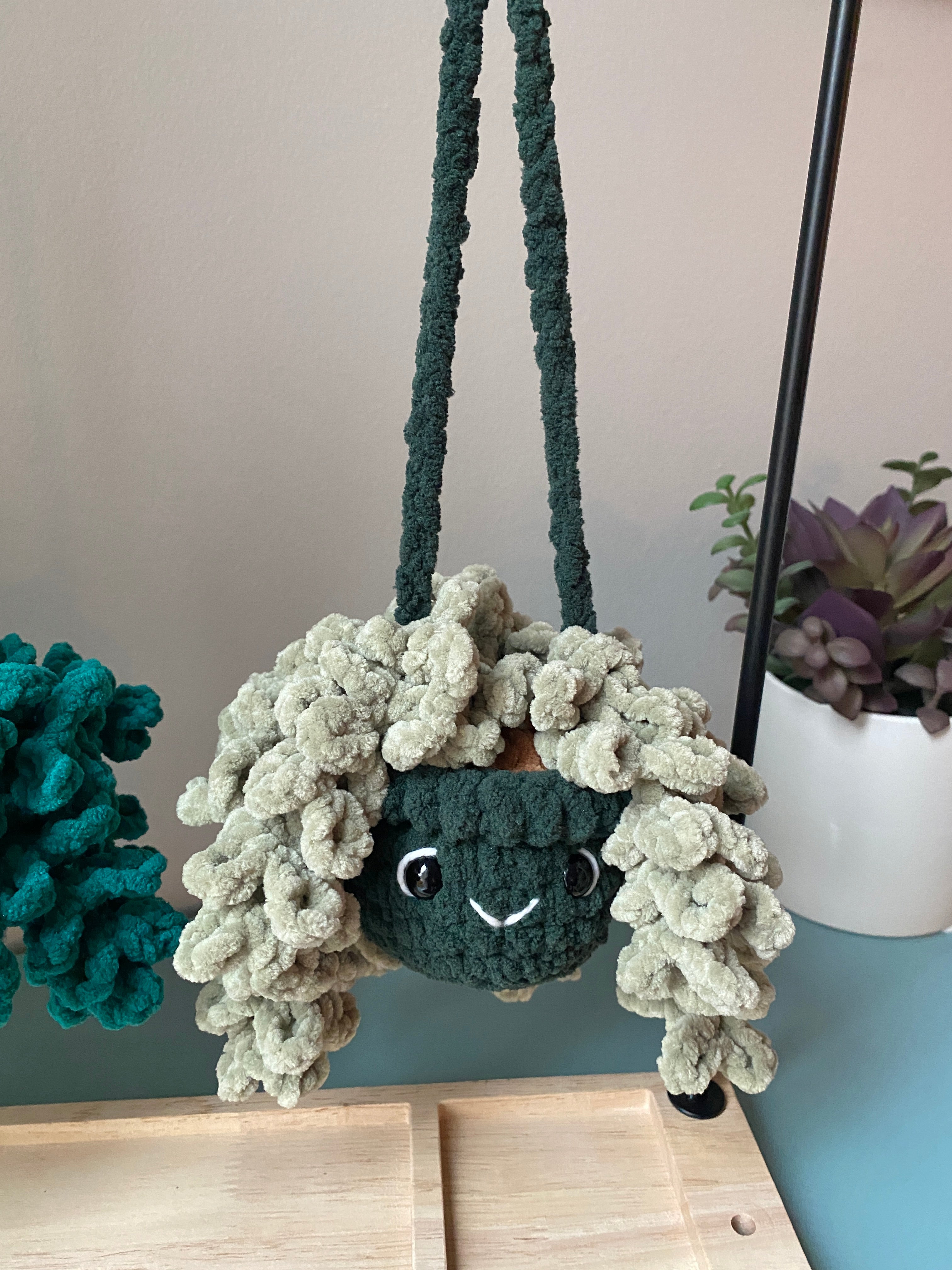 Hanging Plant - Burrow’s Tail