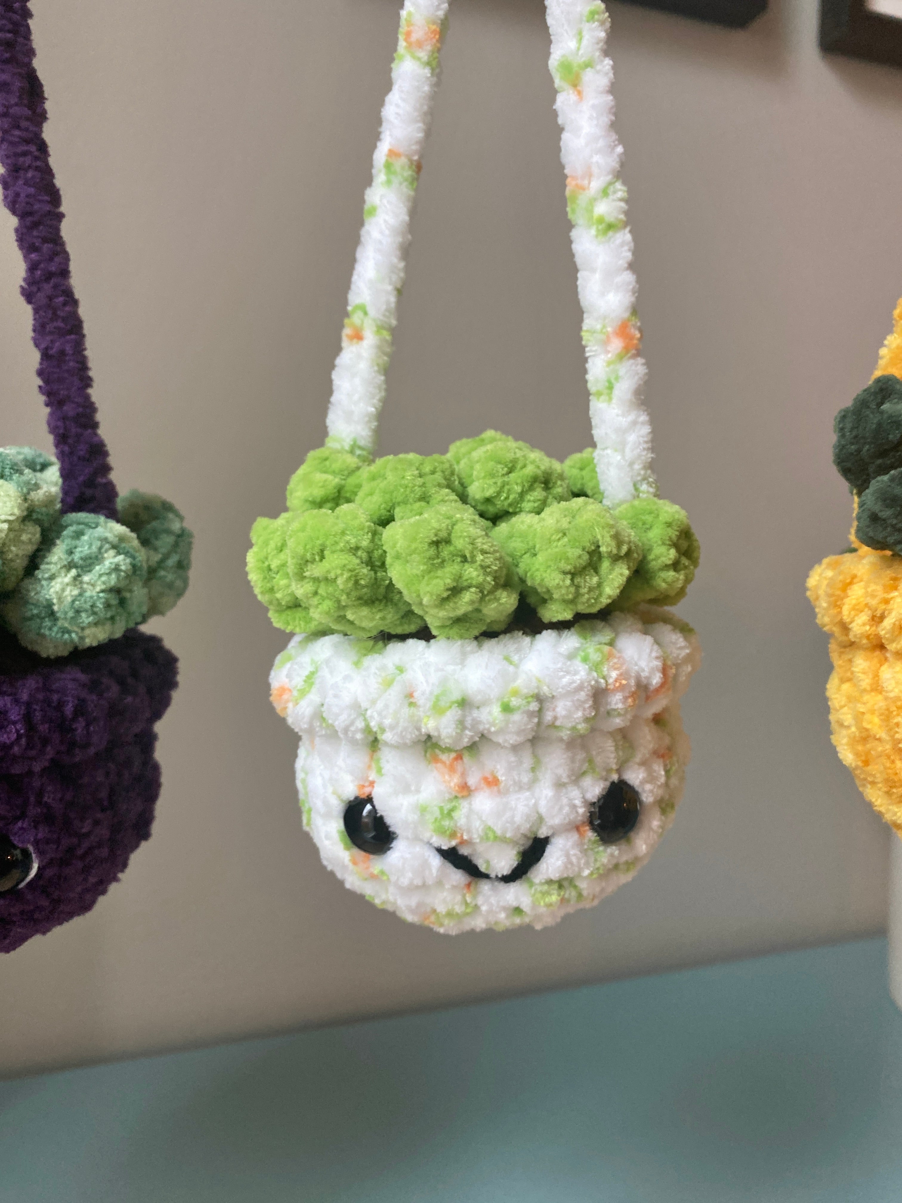 Hanging Plant - Agave