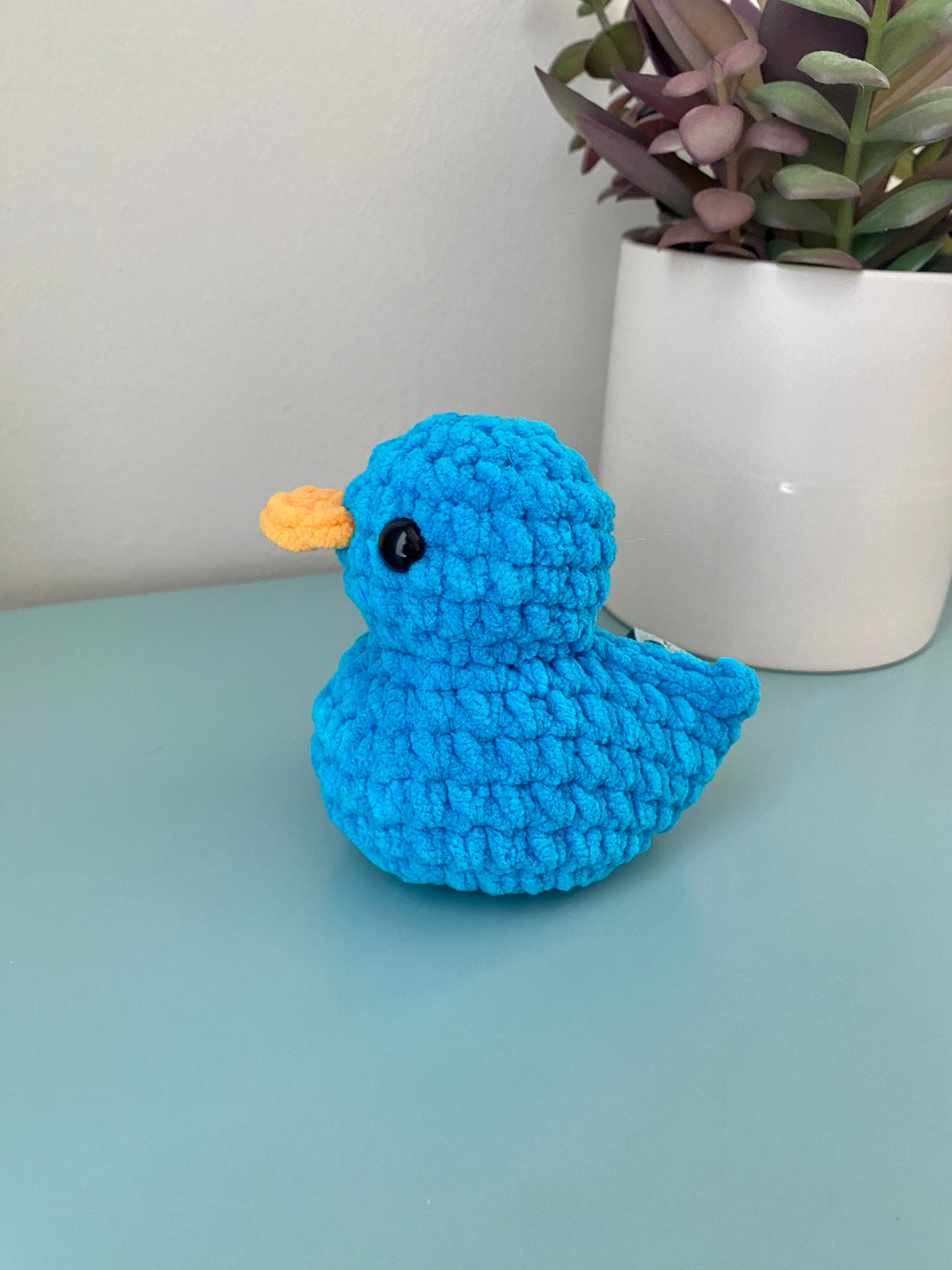 Squeaker Duck