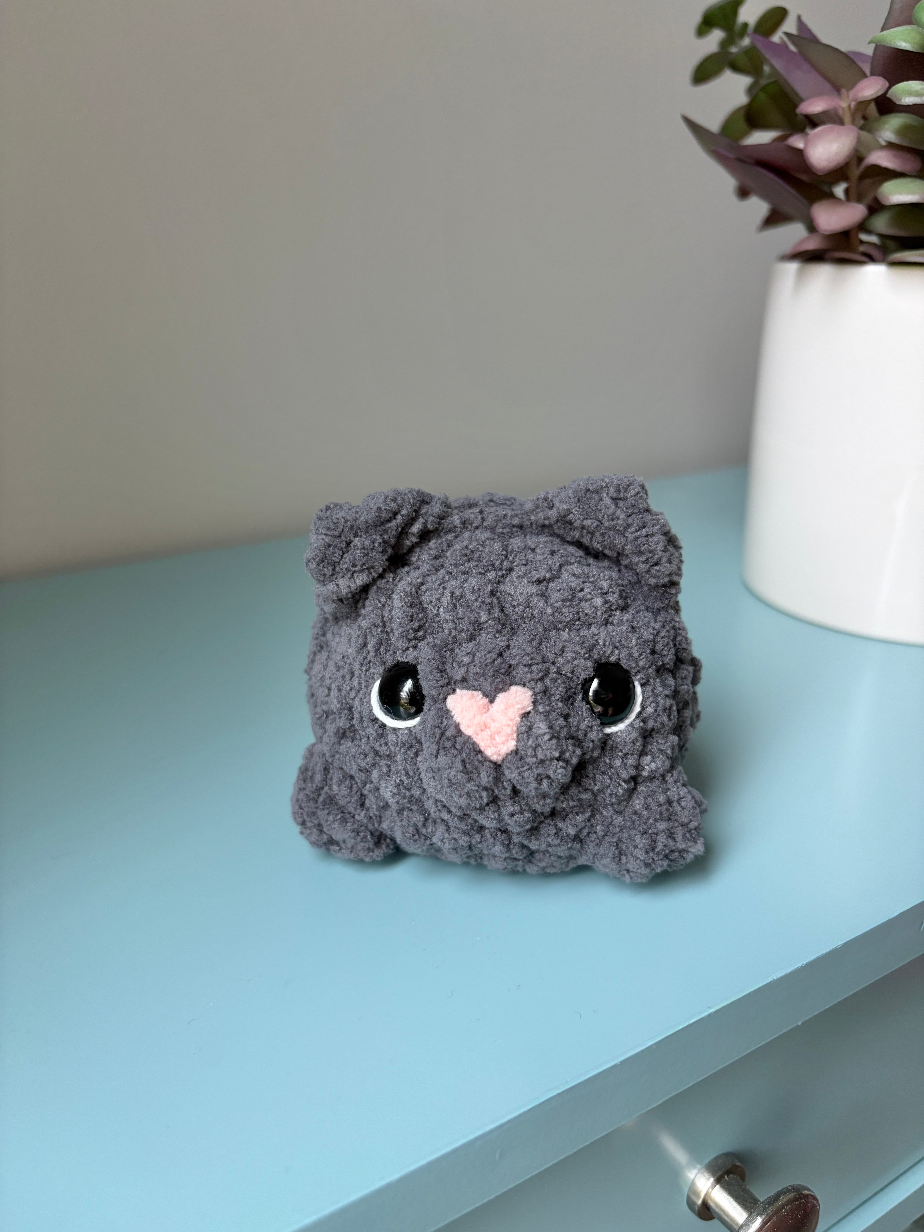 Cat - small