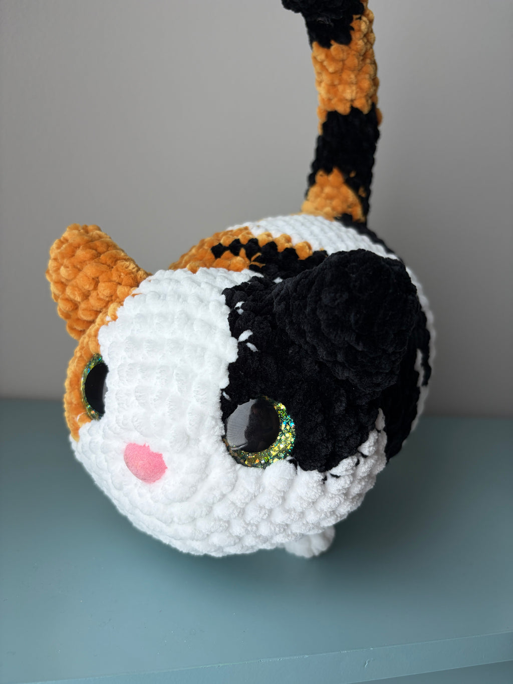 Chonky Cat