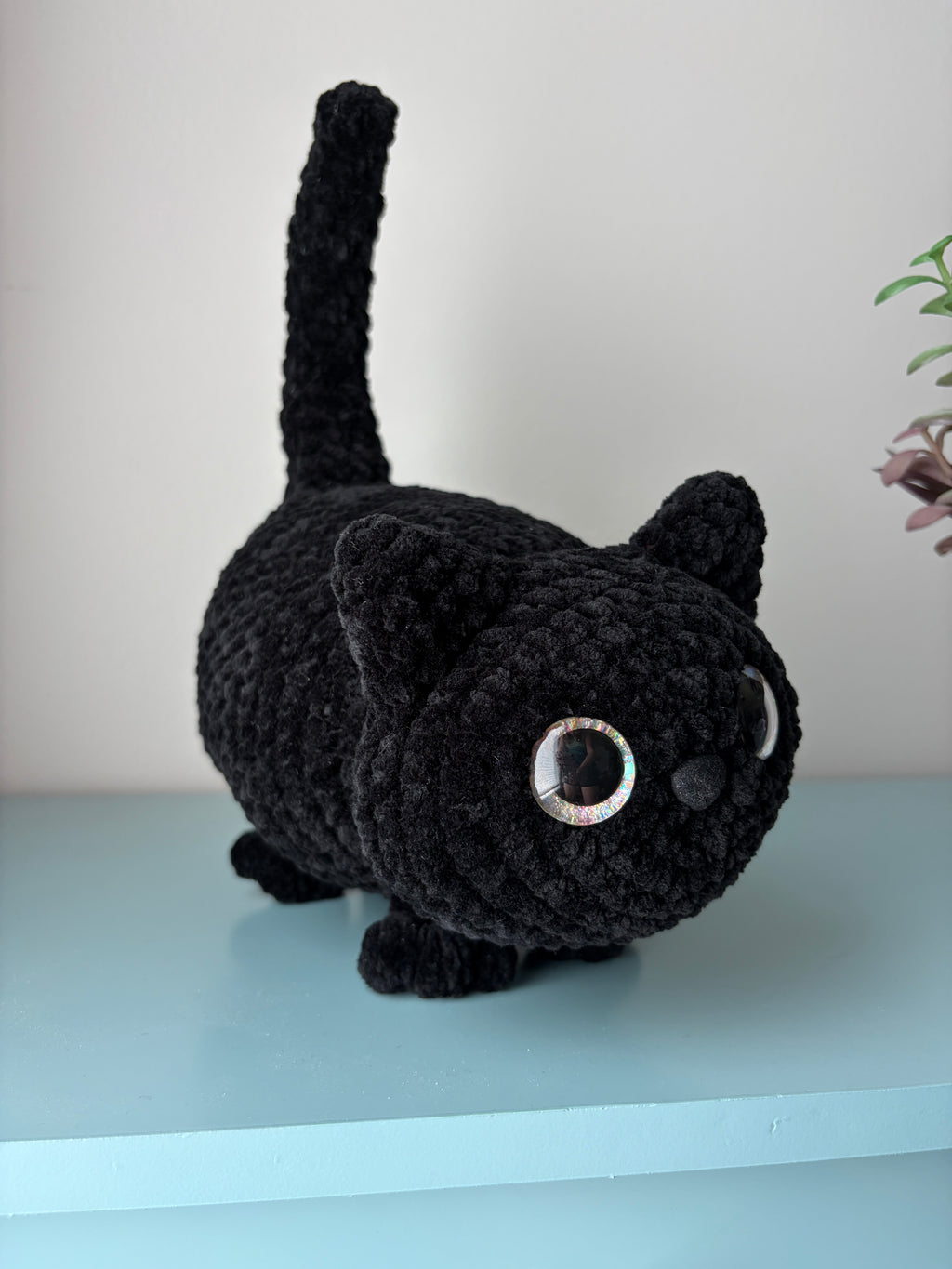 Chonky Cat
