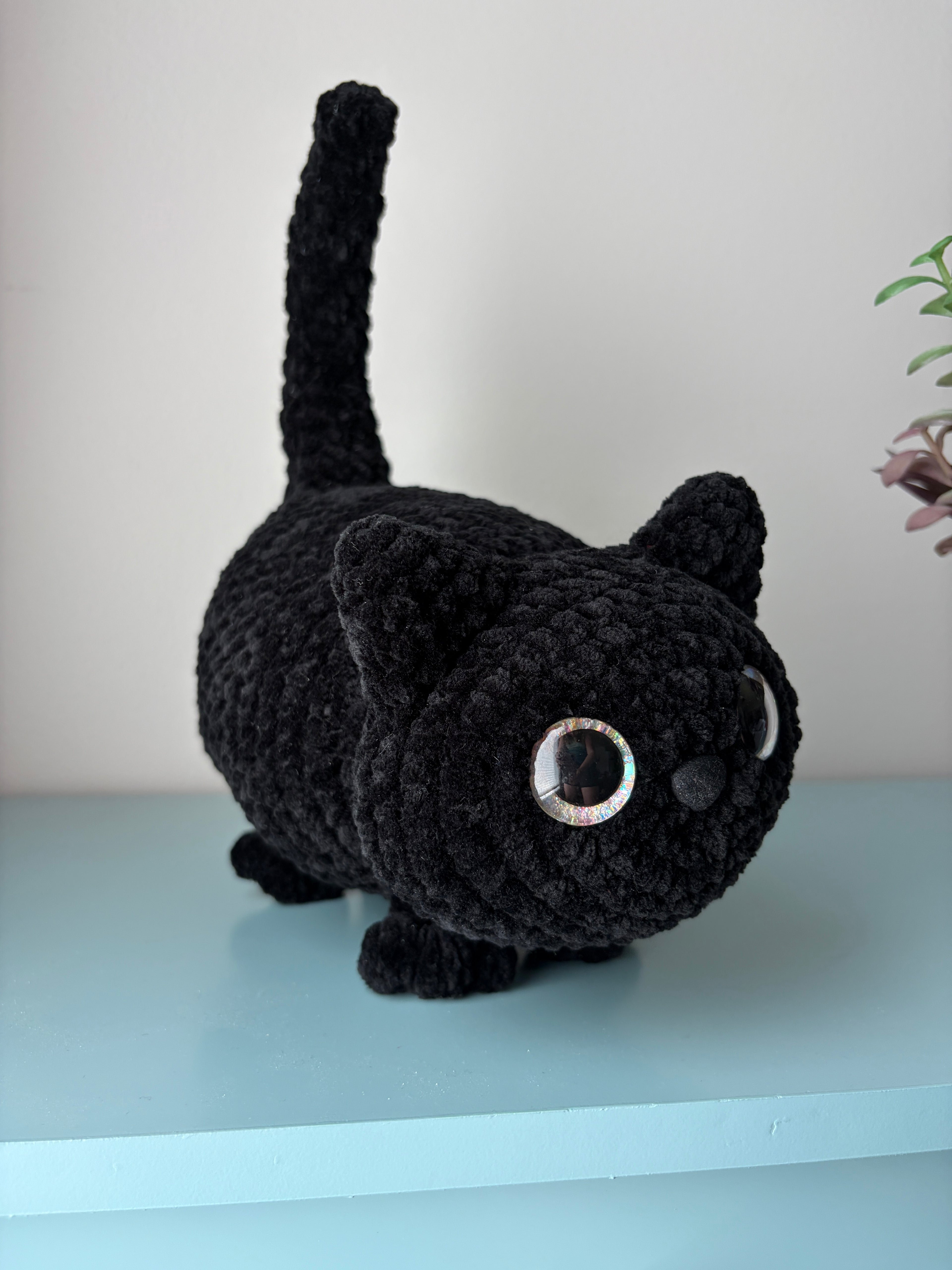 Chonky Cat