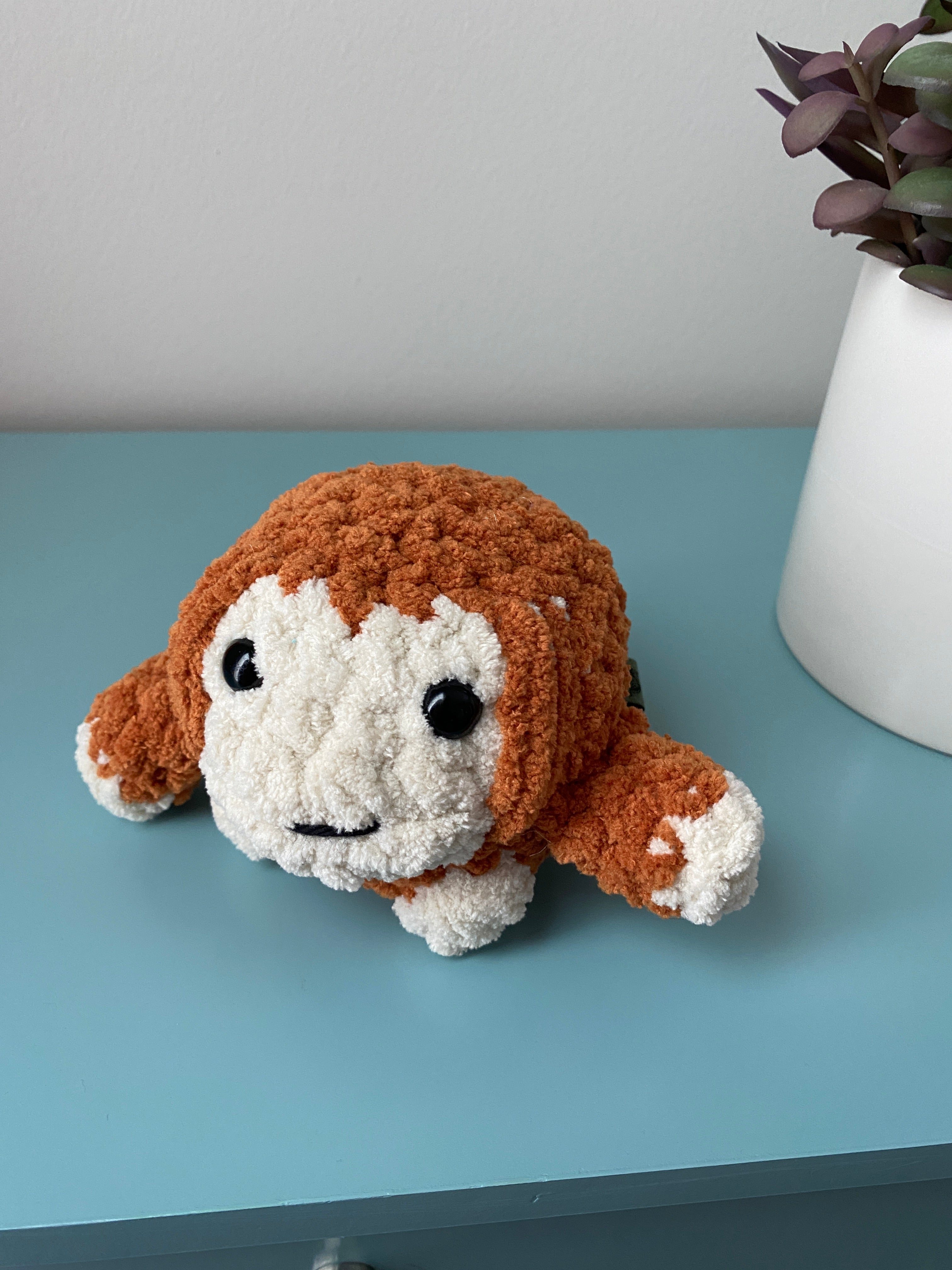 Pet - small