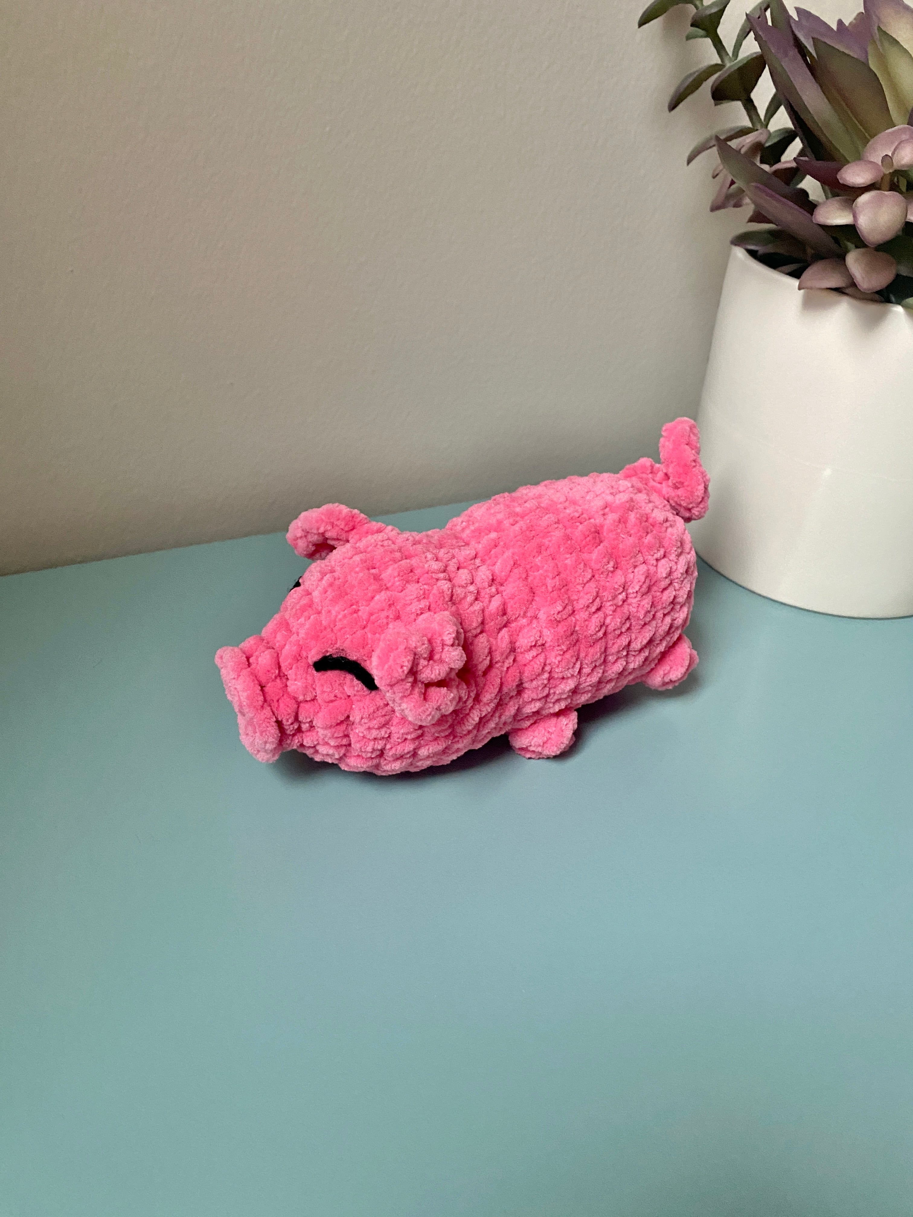 Petunia the Pig