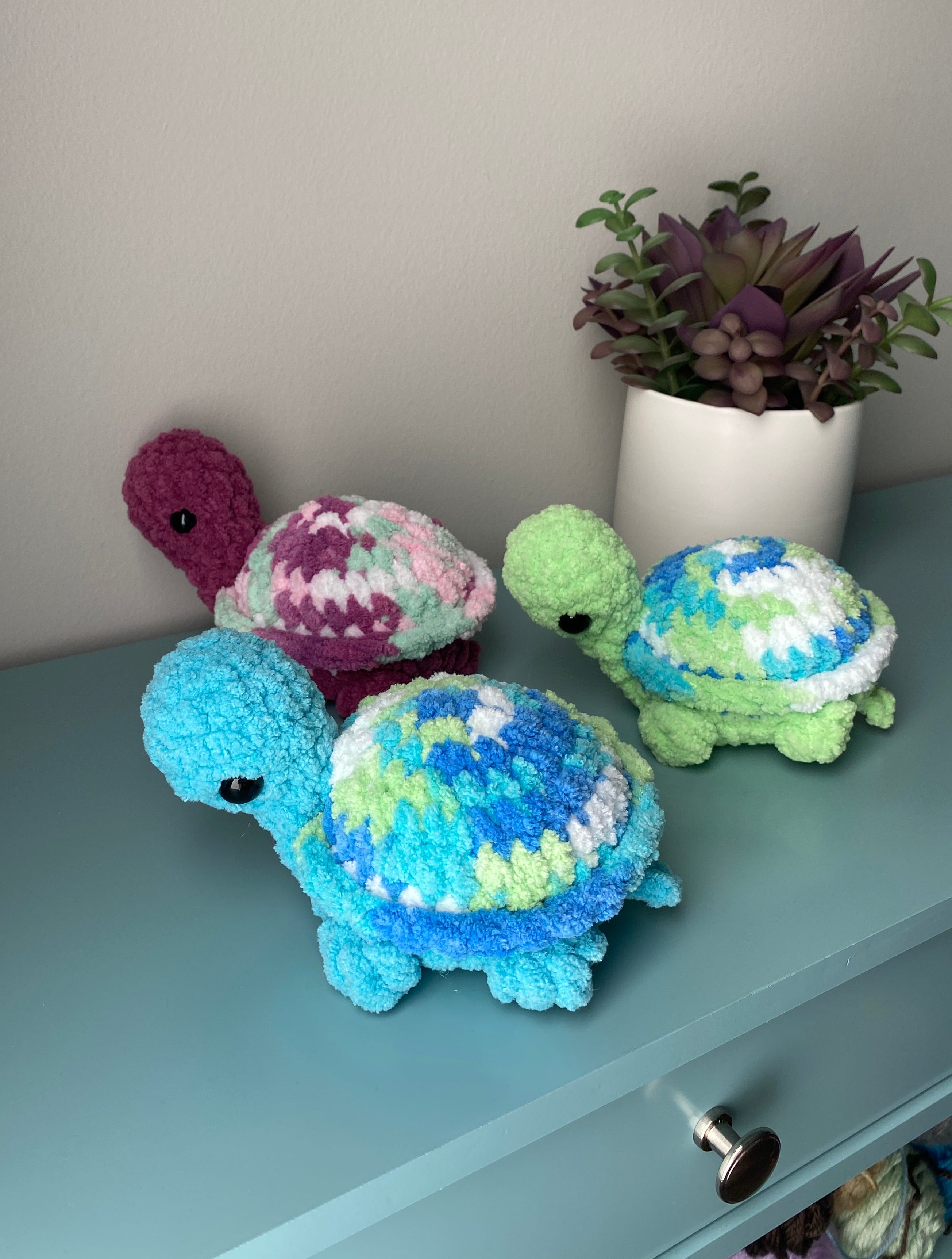 Tofu the Land Turtle