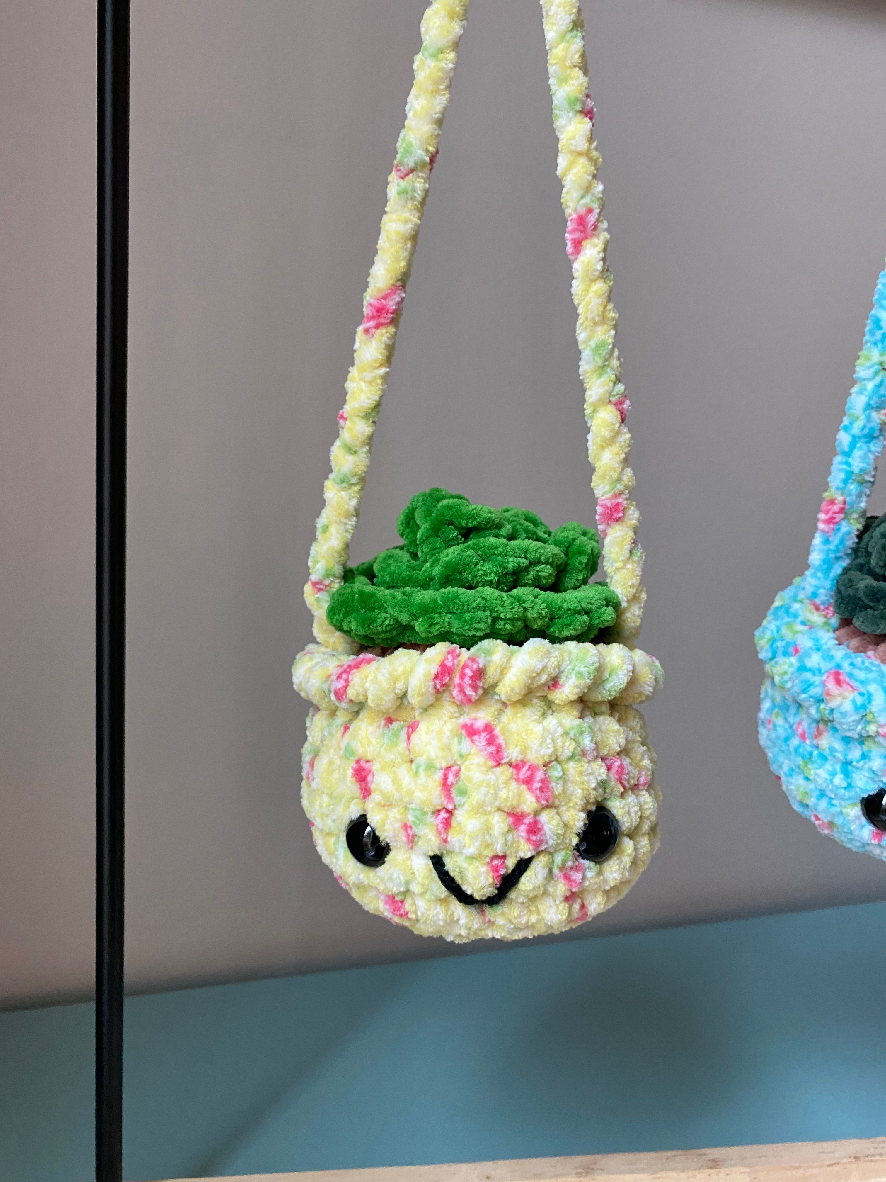 Hanging Plant - Echeveria Succulent