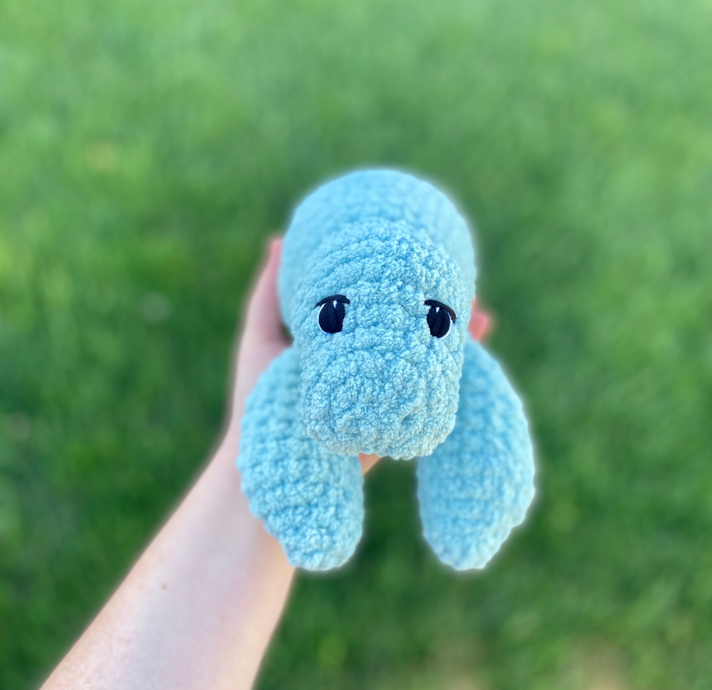 Milo the baby Manatee