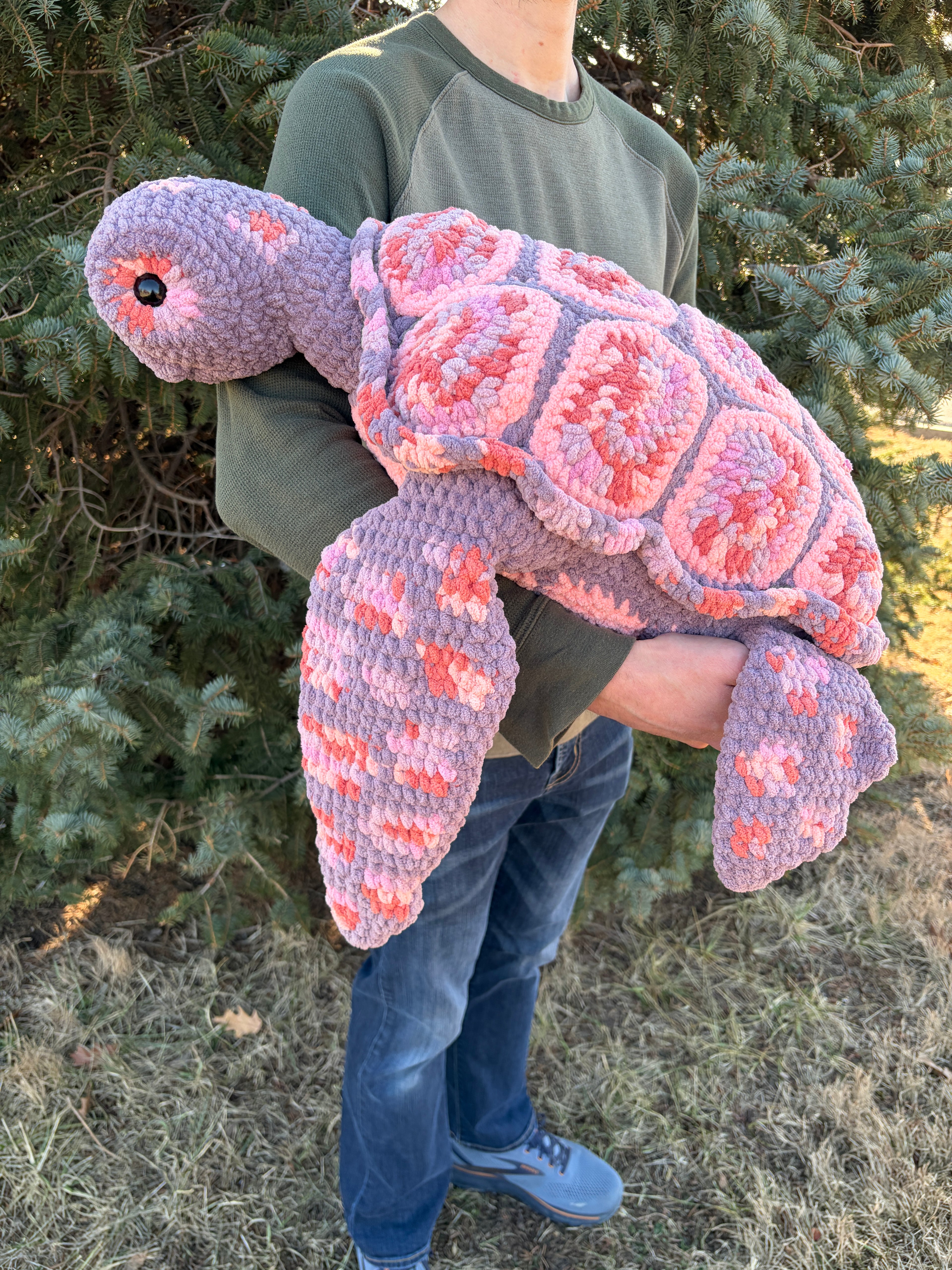 Salish the Sea Turtle