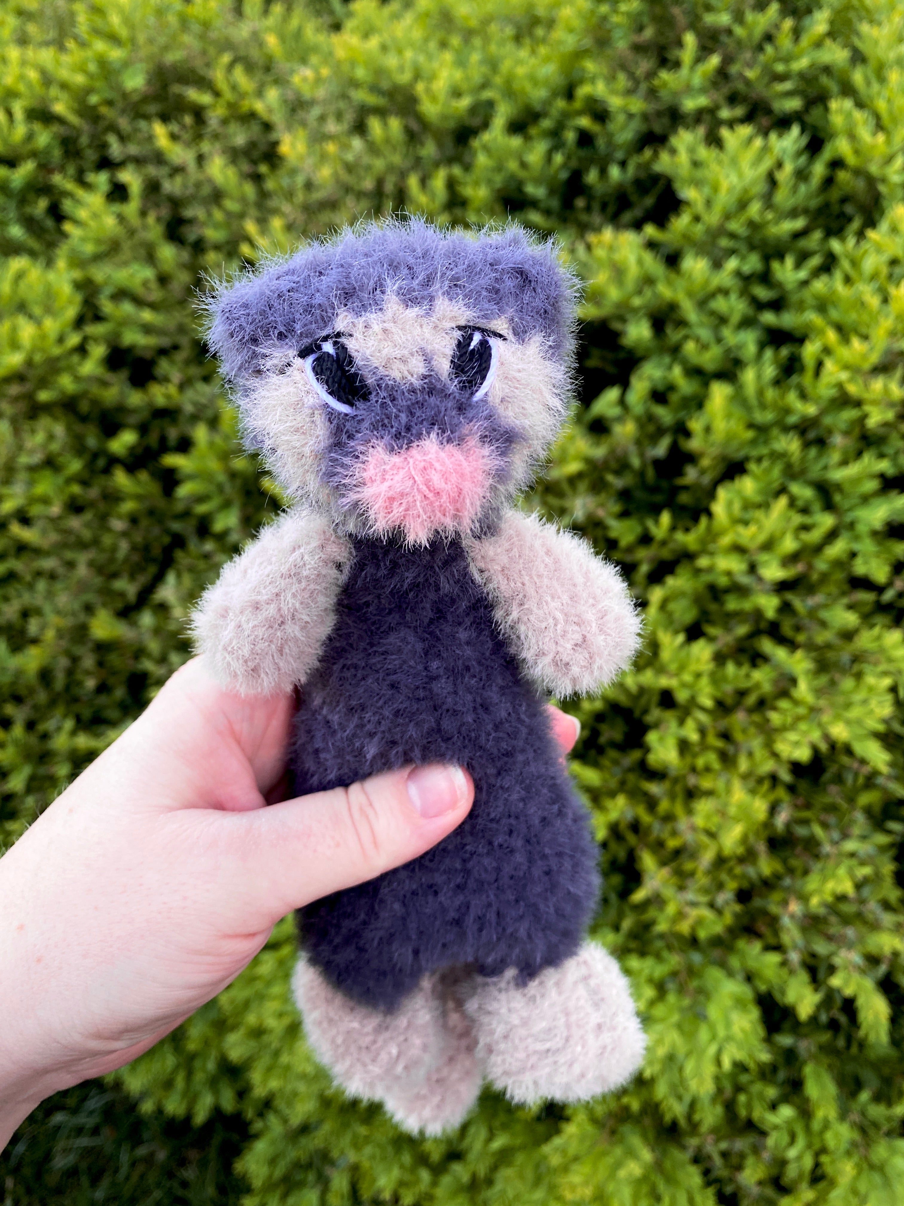 Baby Faith the Ferret