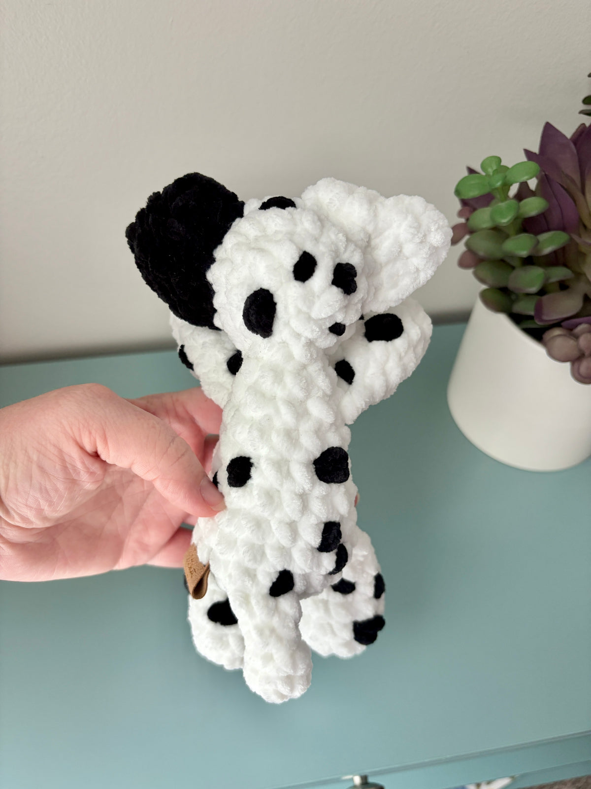Dalmation
