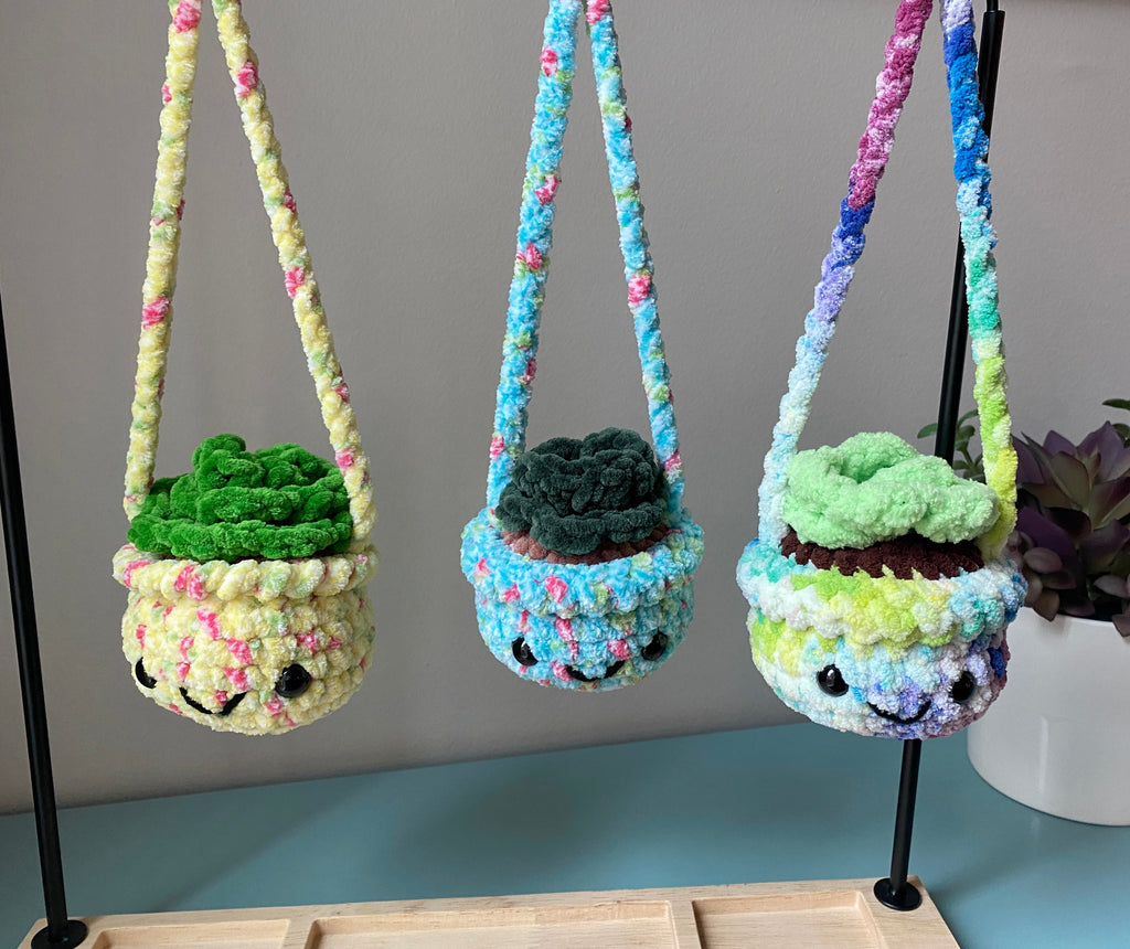 Hanging Plant - Echeveria Succulent