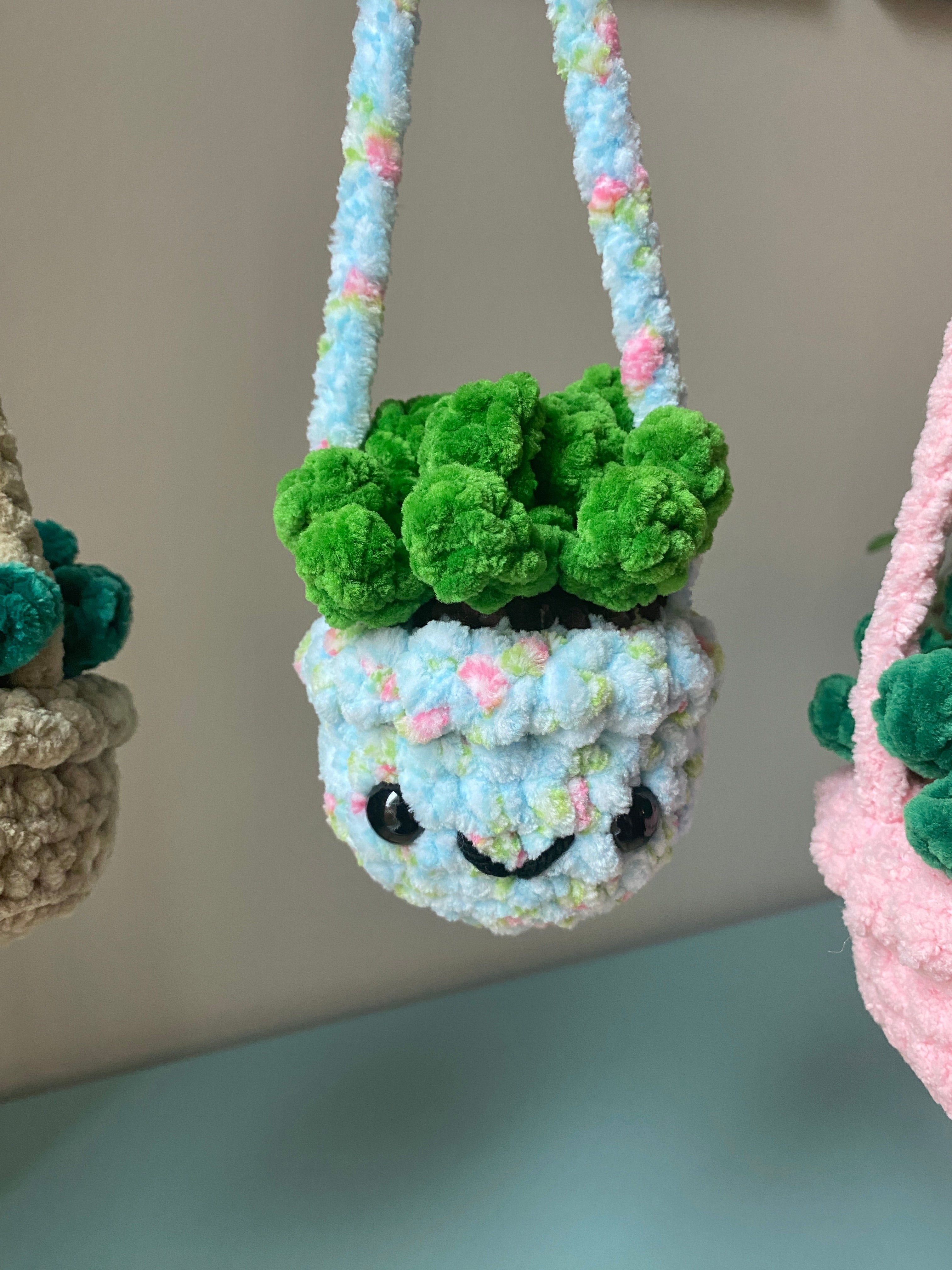 Hanging Plant - Agave