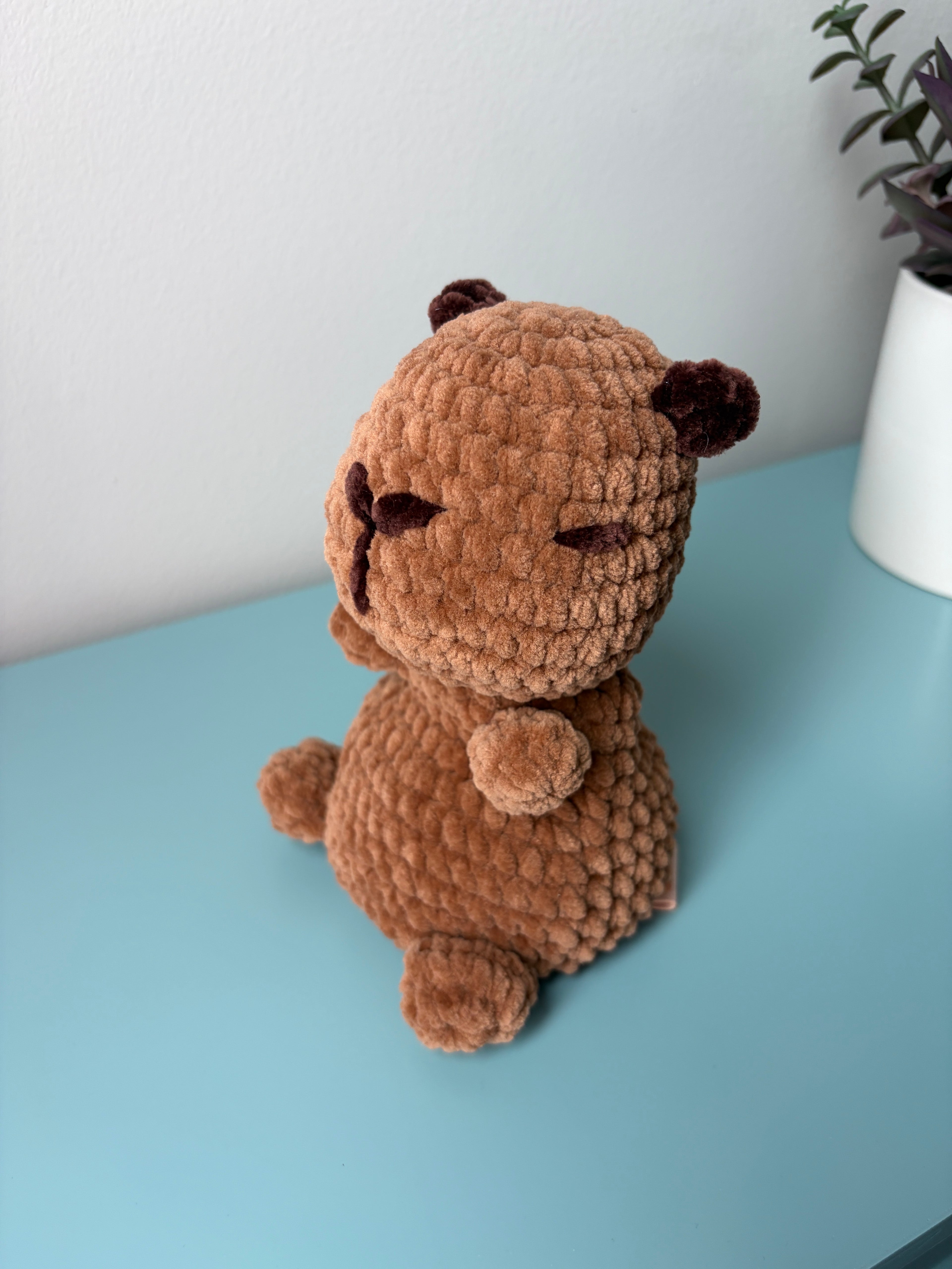 Beanie Belly - Medium