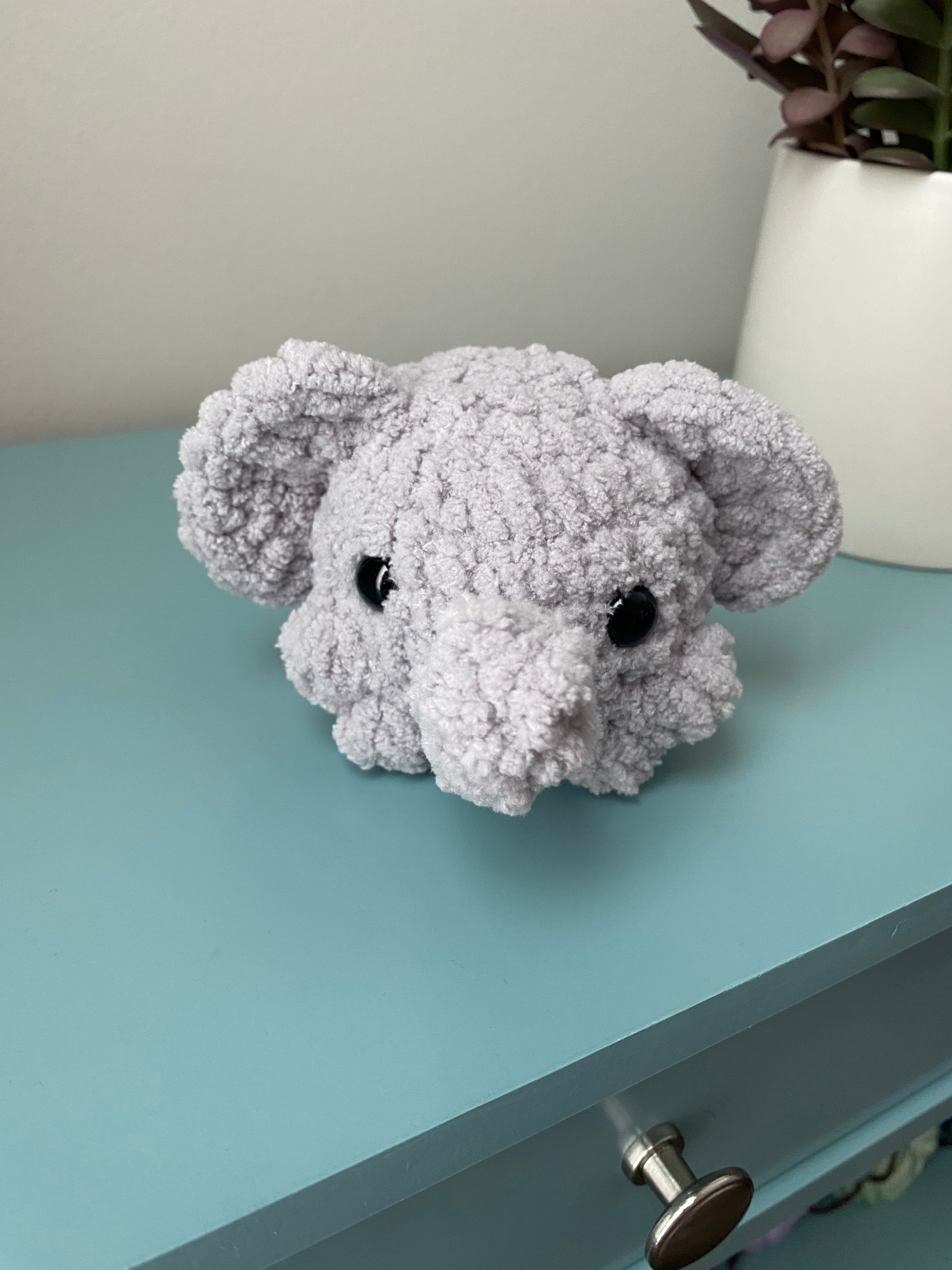 Pet - small