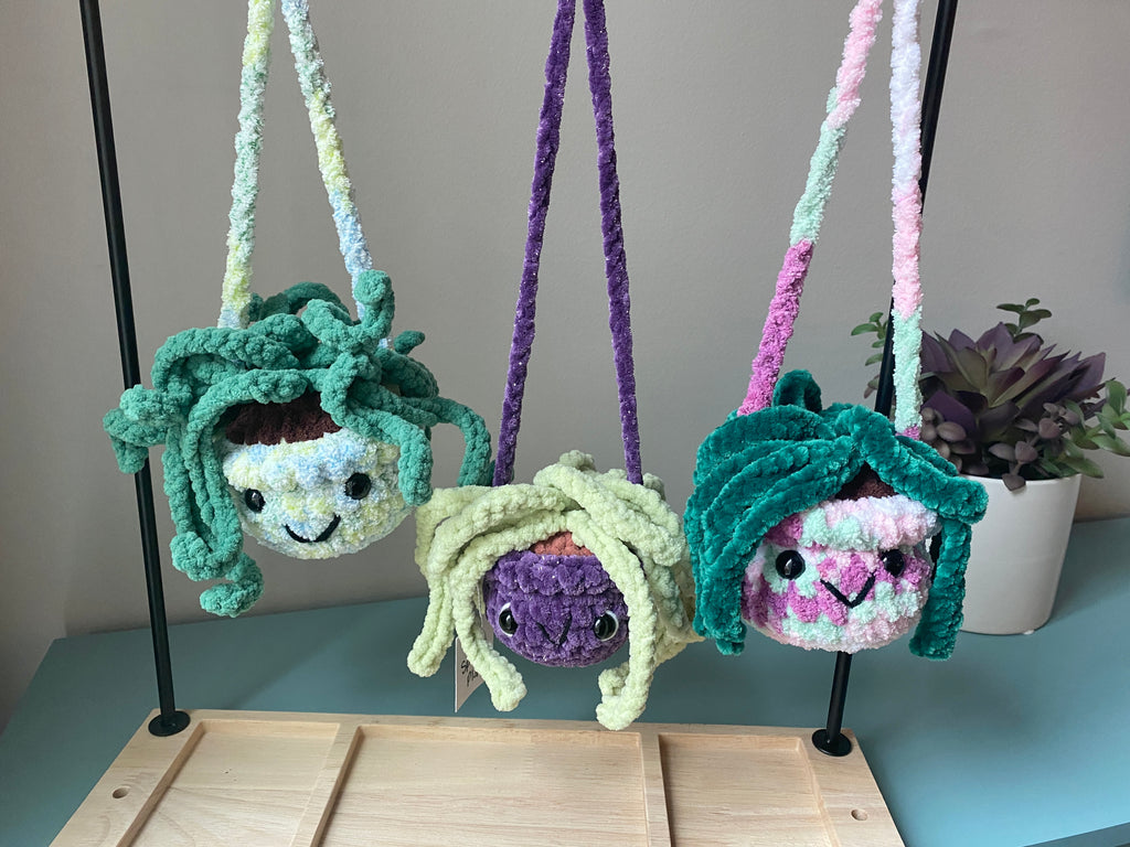 Hanging Plant - Spider