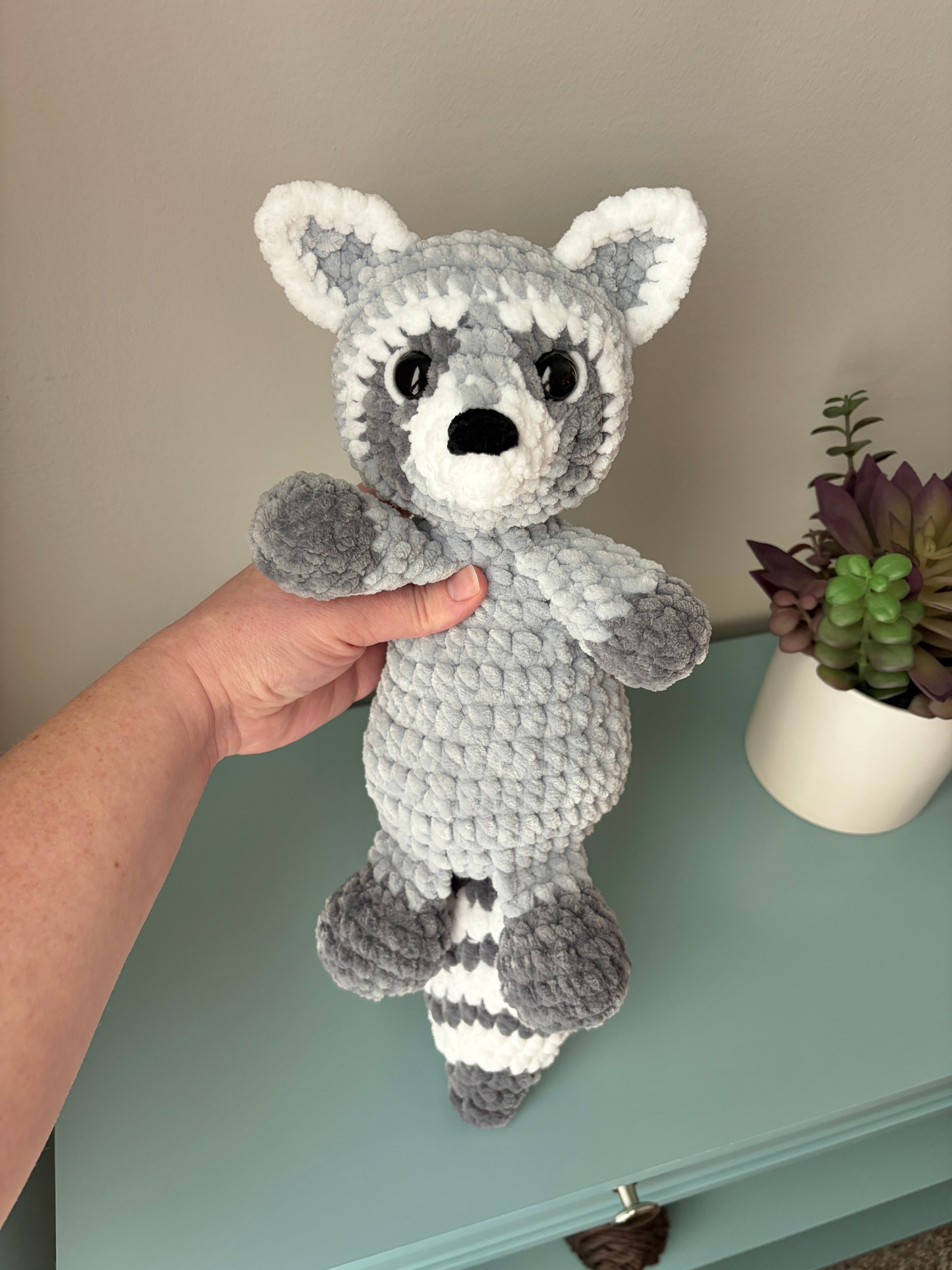 Reuben the Raccoon