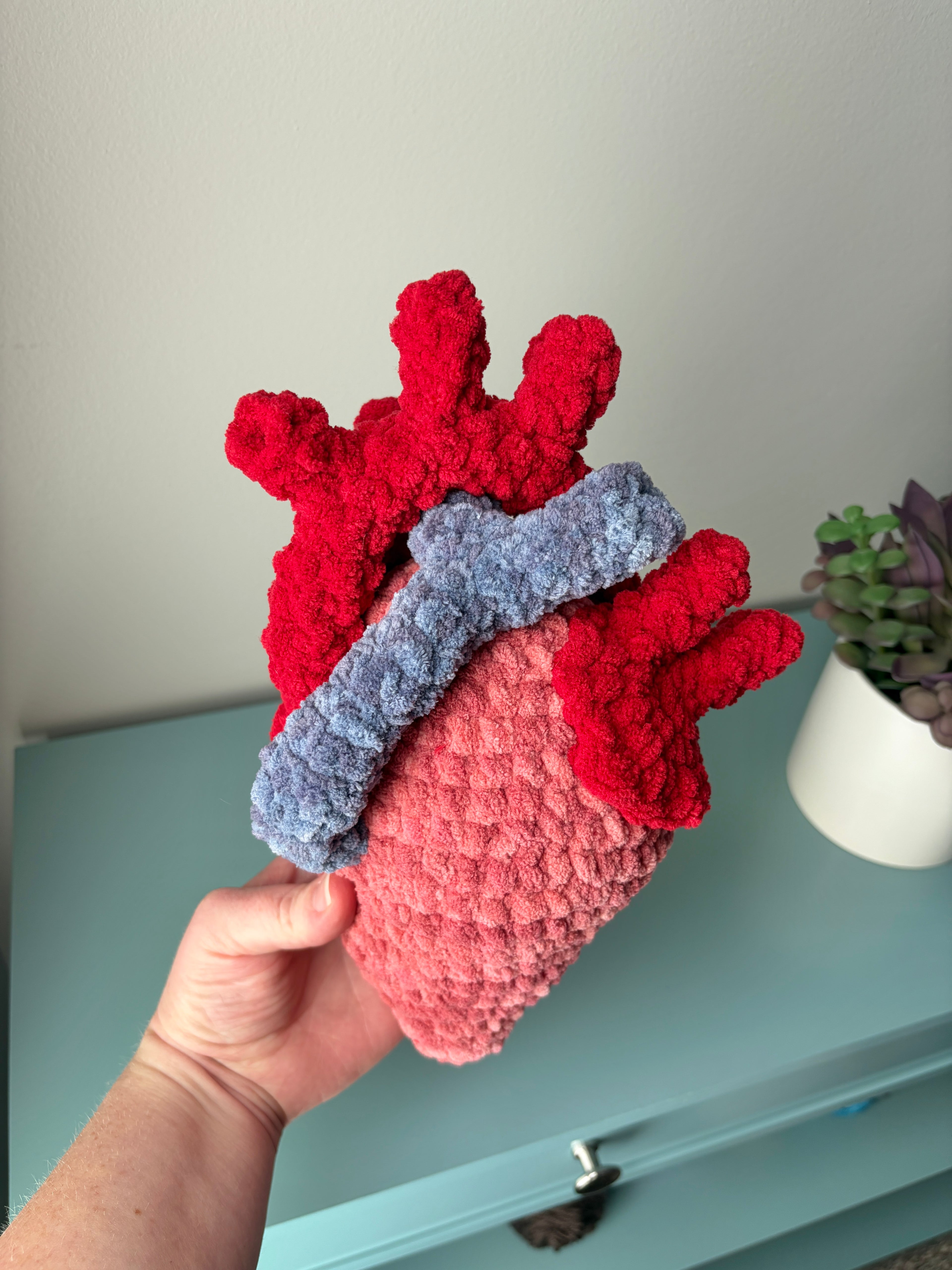 Anatomical Heart