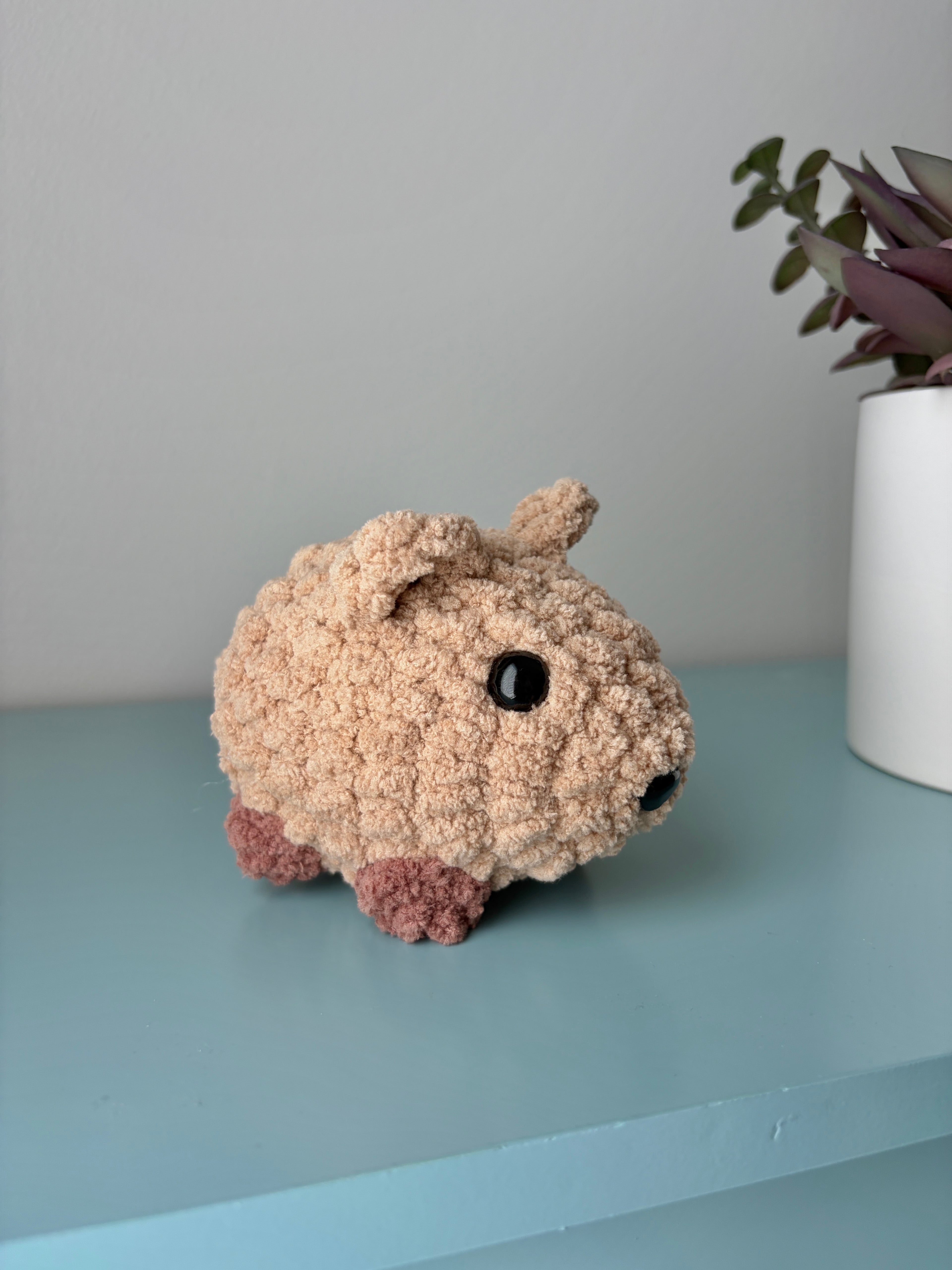 Pet - small