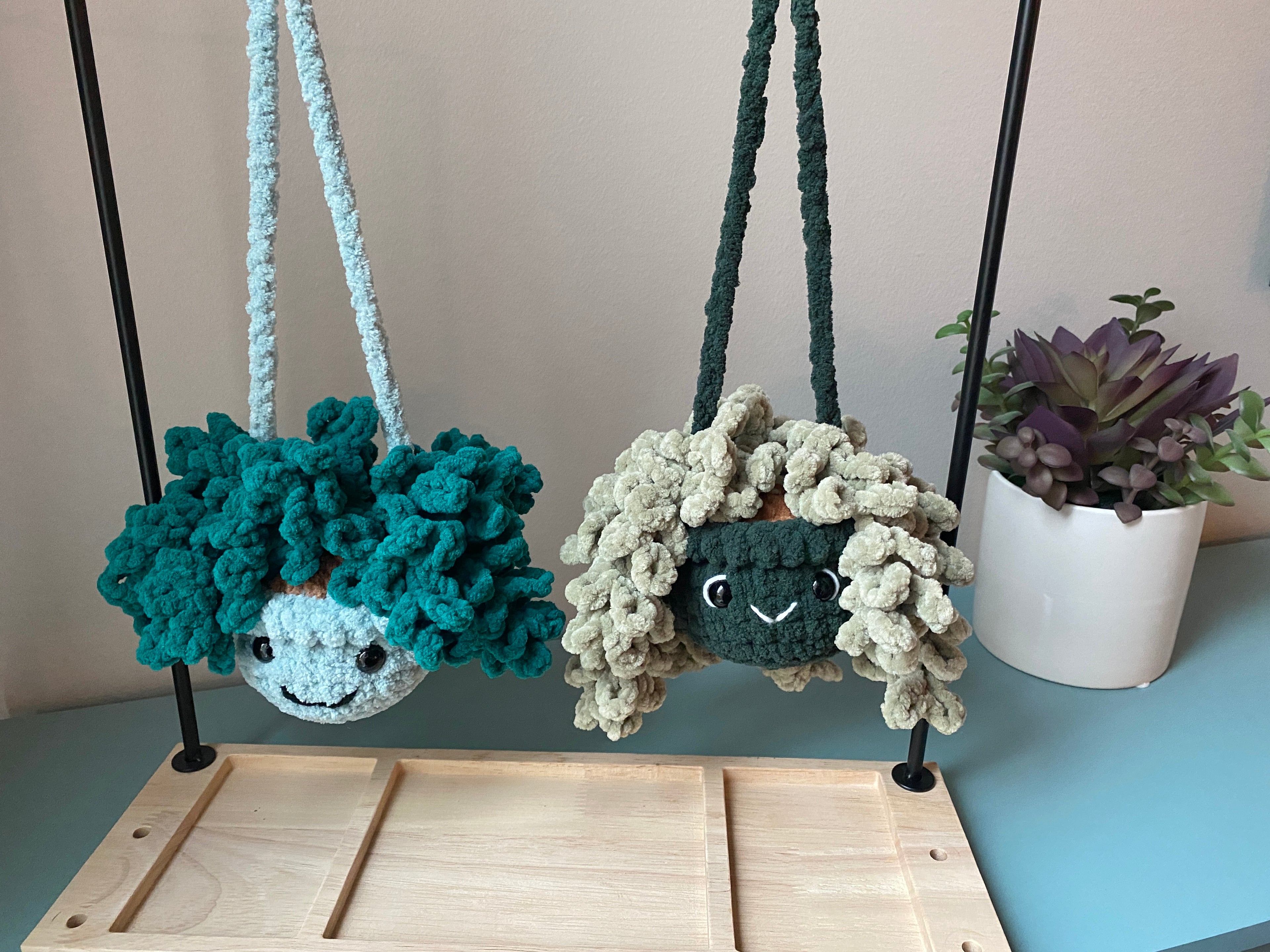 Hanging Plant - Burrow’s Tail