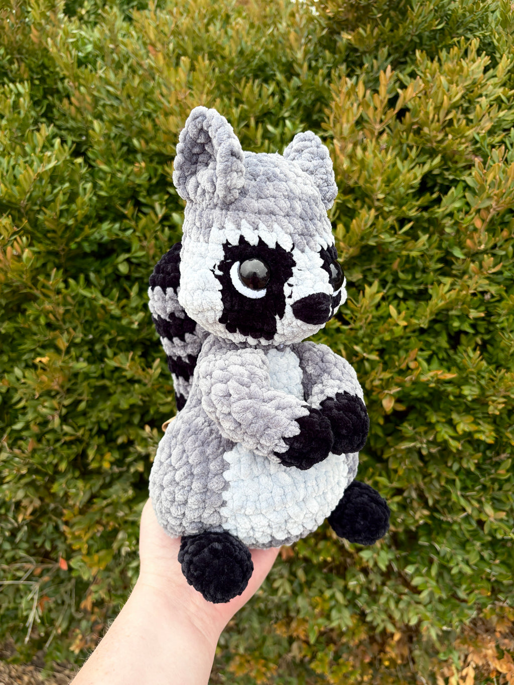 River the Raccoon