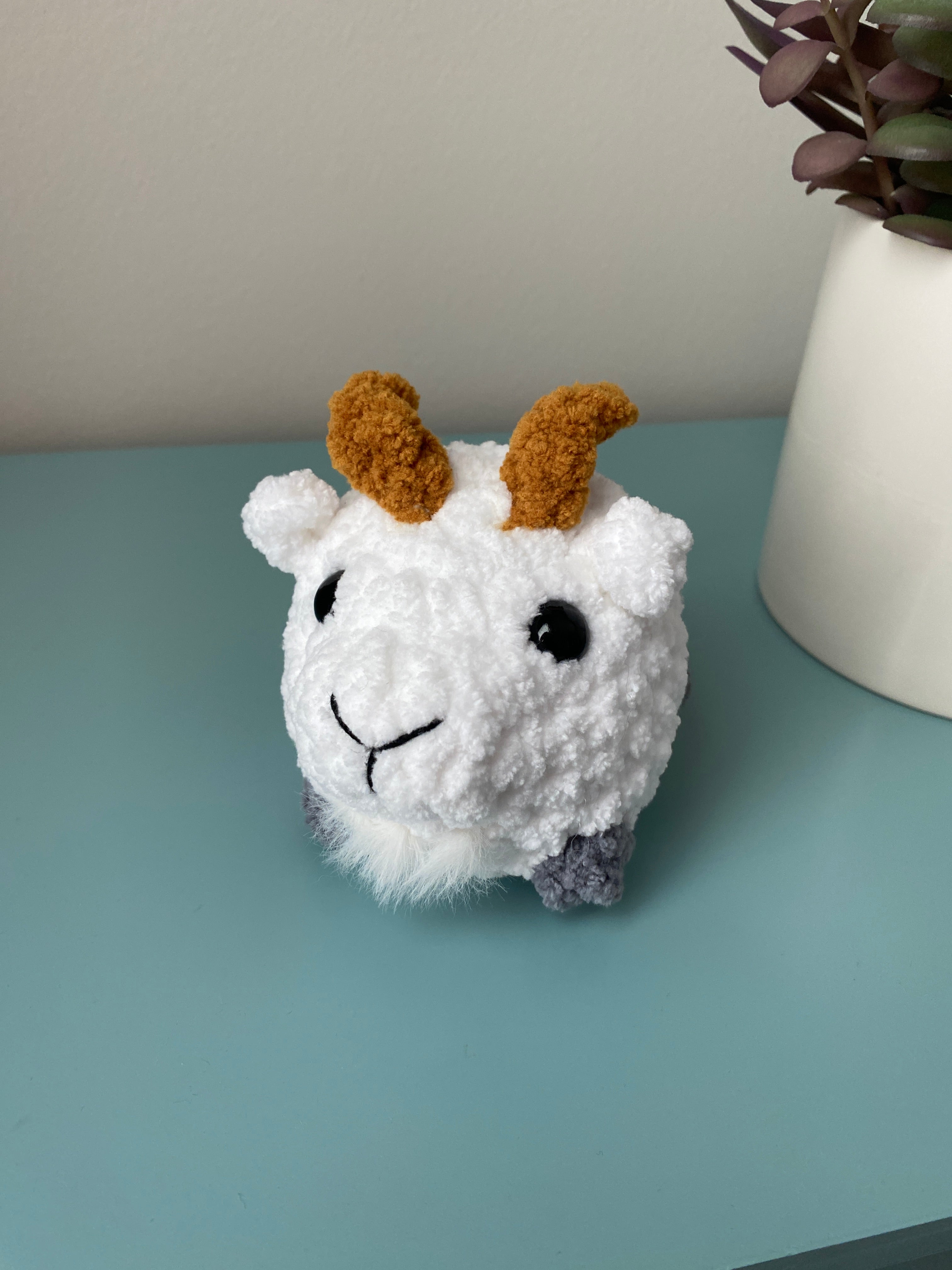 Pet - small