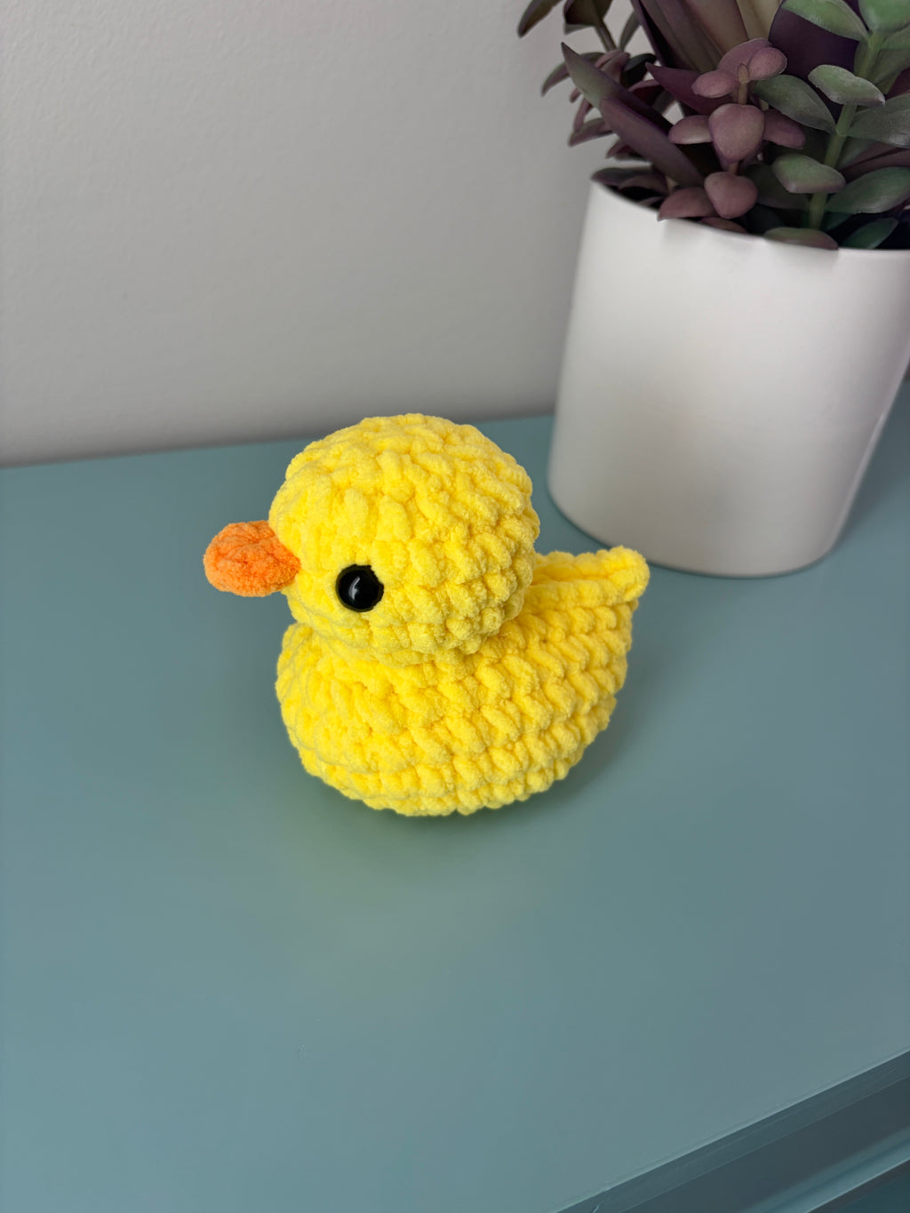 Squeaky Duck