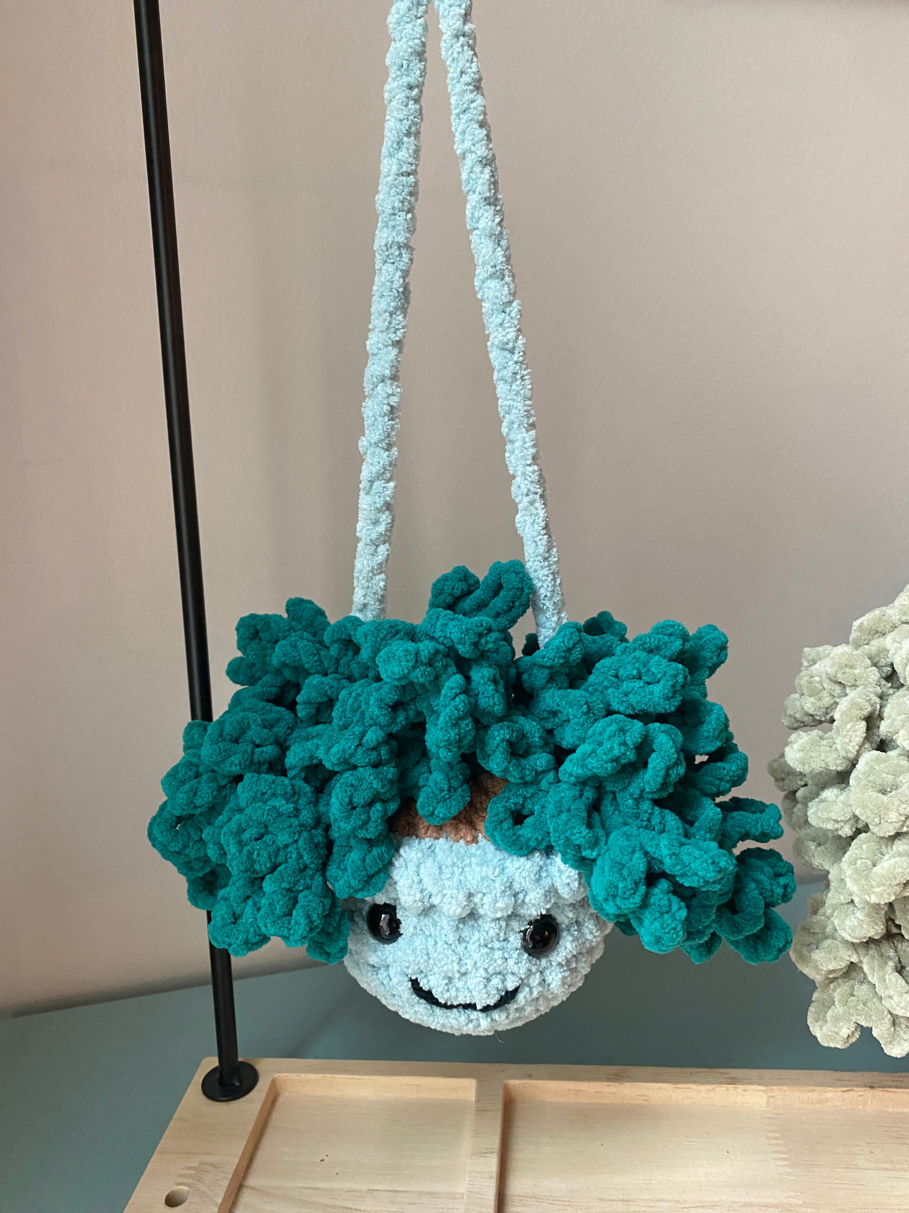 Hanging Plant - Burrow’s Tail