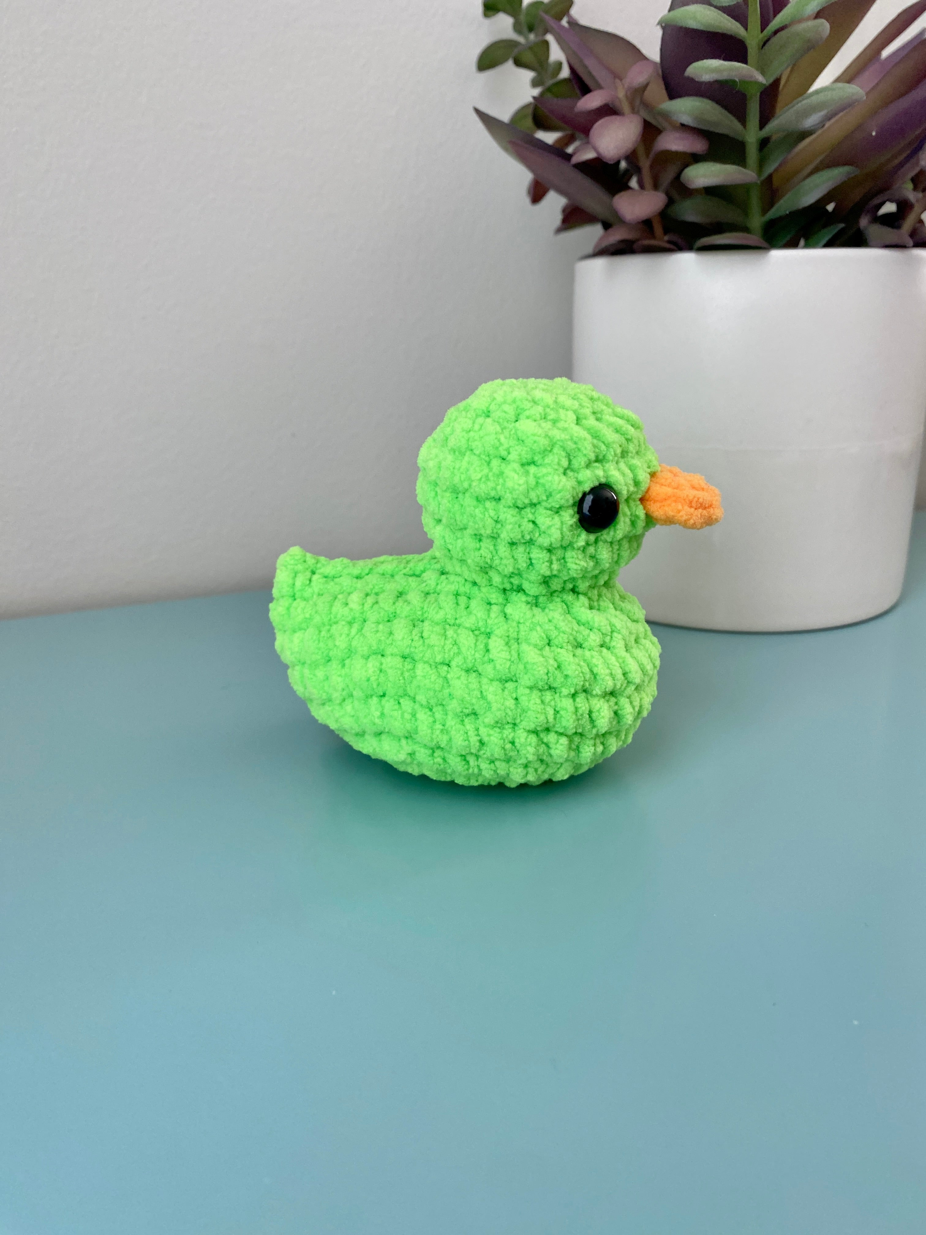 Squeaker Duck
