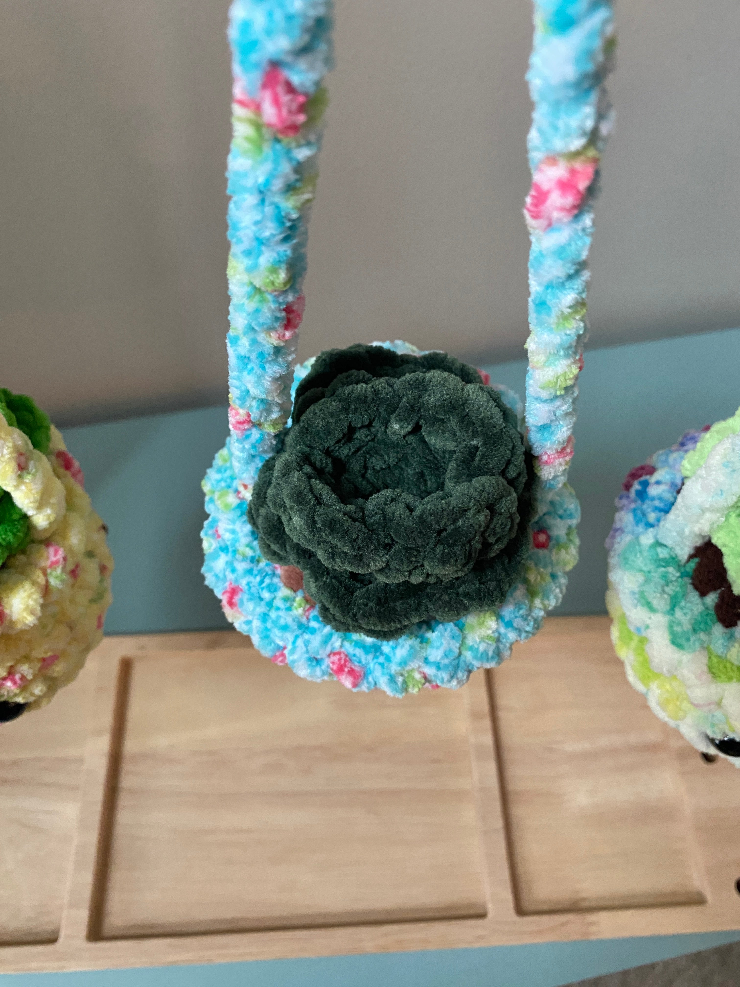 Hanging Plant - Echeveria Succulent