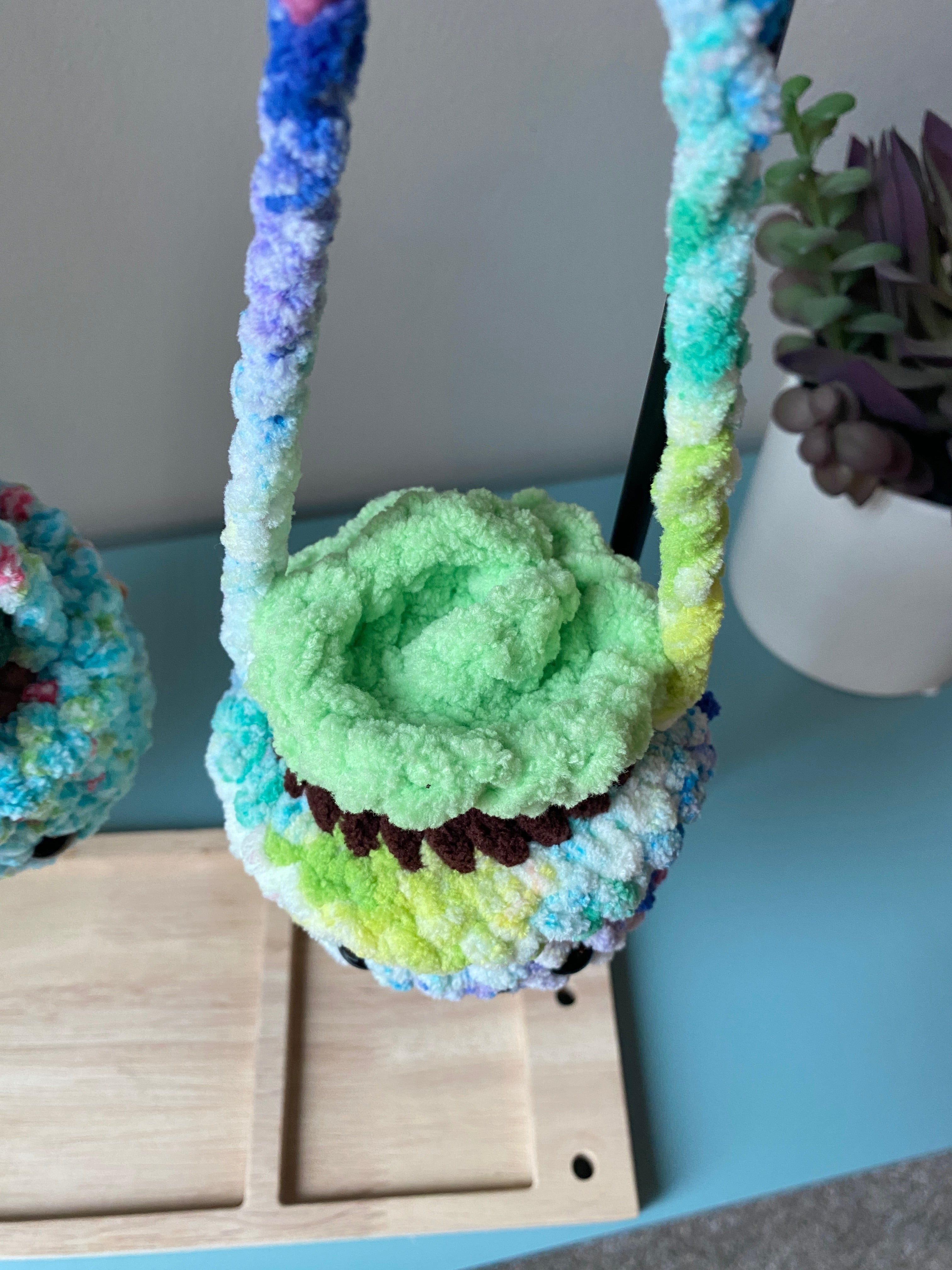 Hanging Plant - Echeveria Succulent