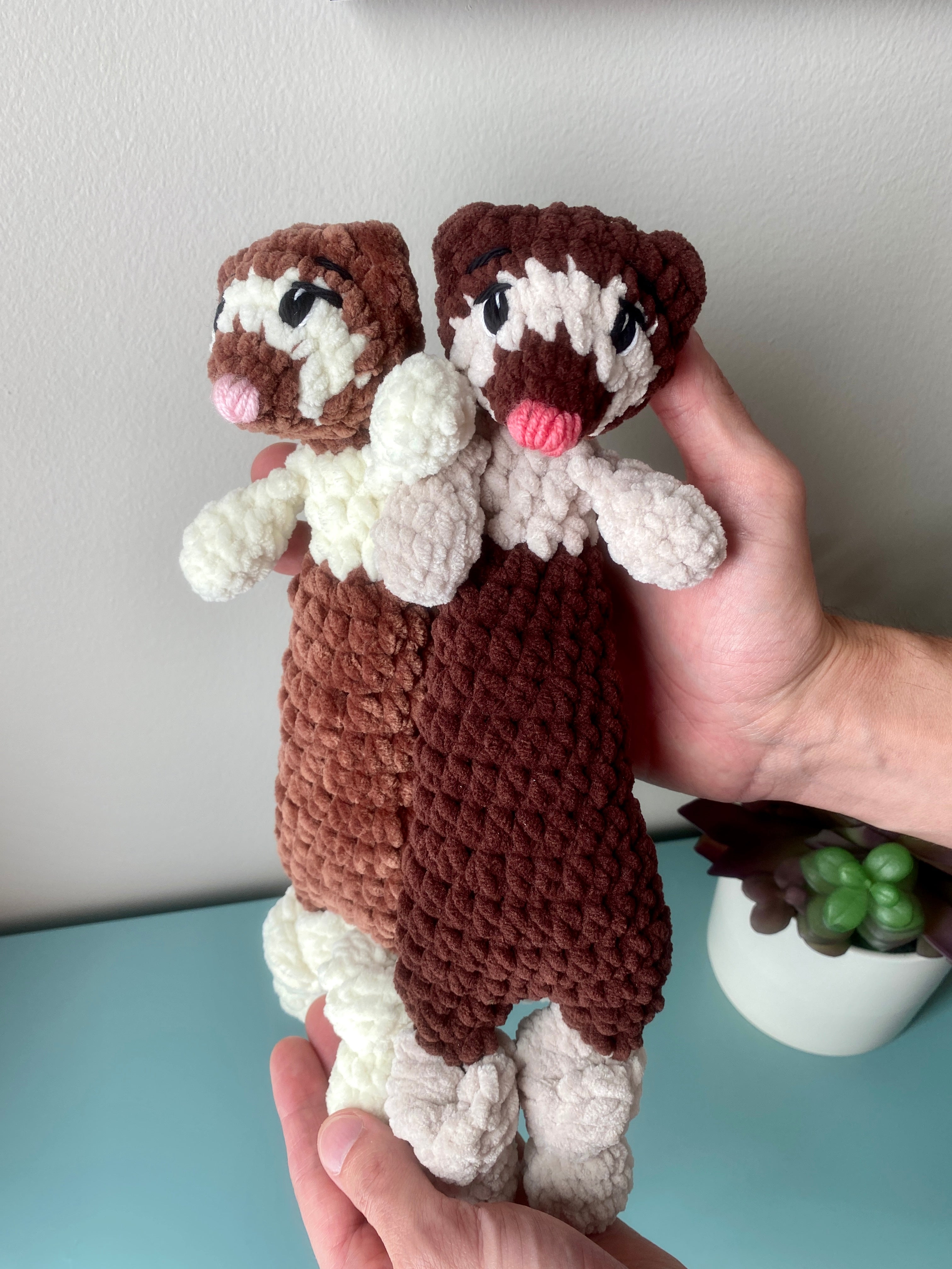 Baby Faith the Ferret