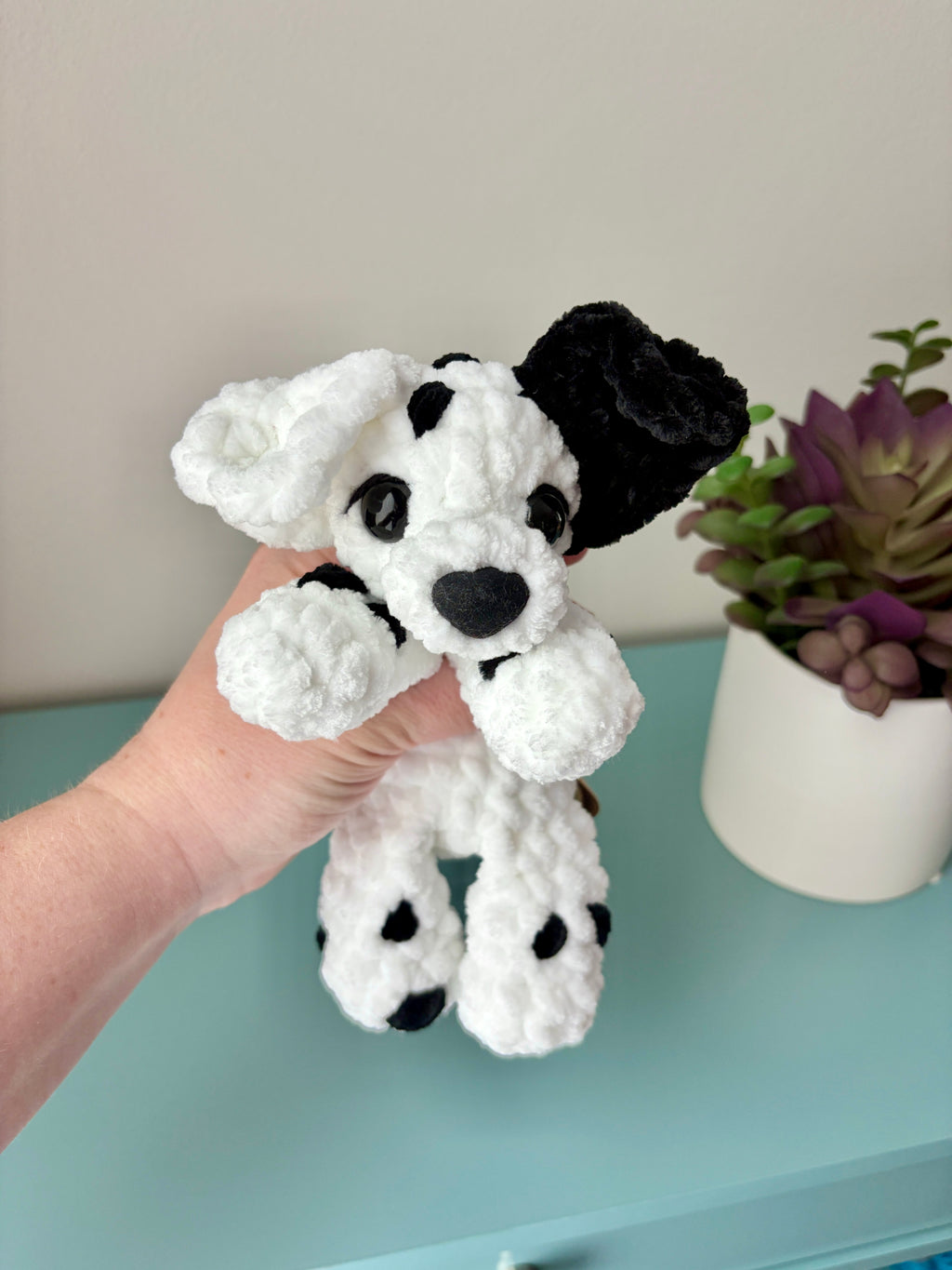 Dalmation