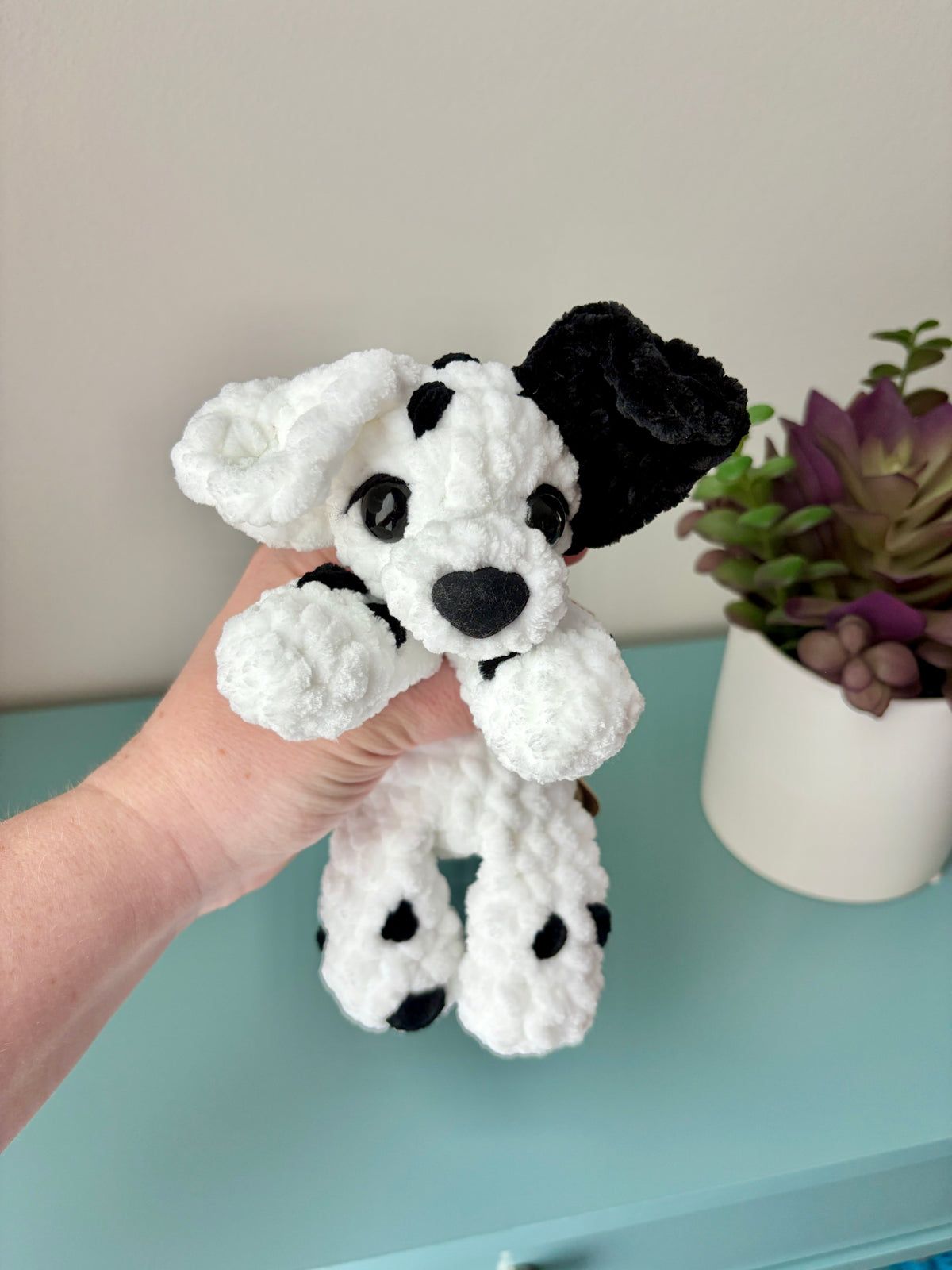 Dalmation