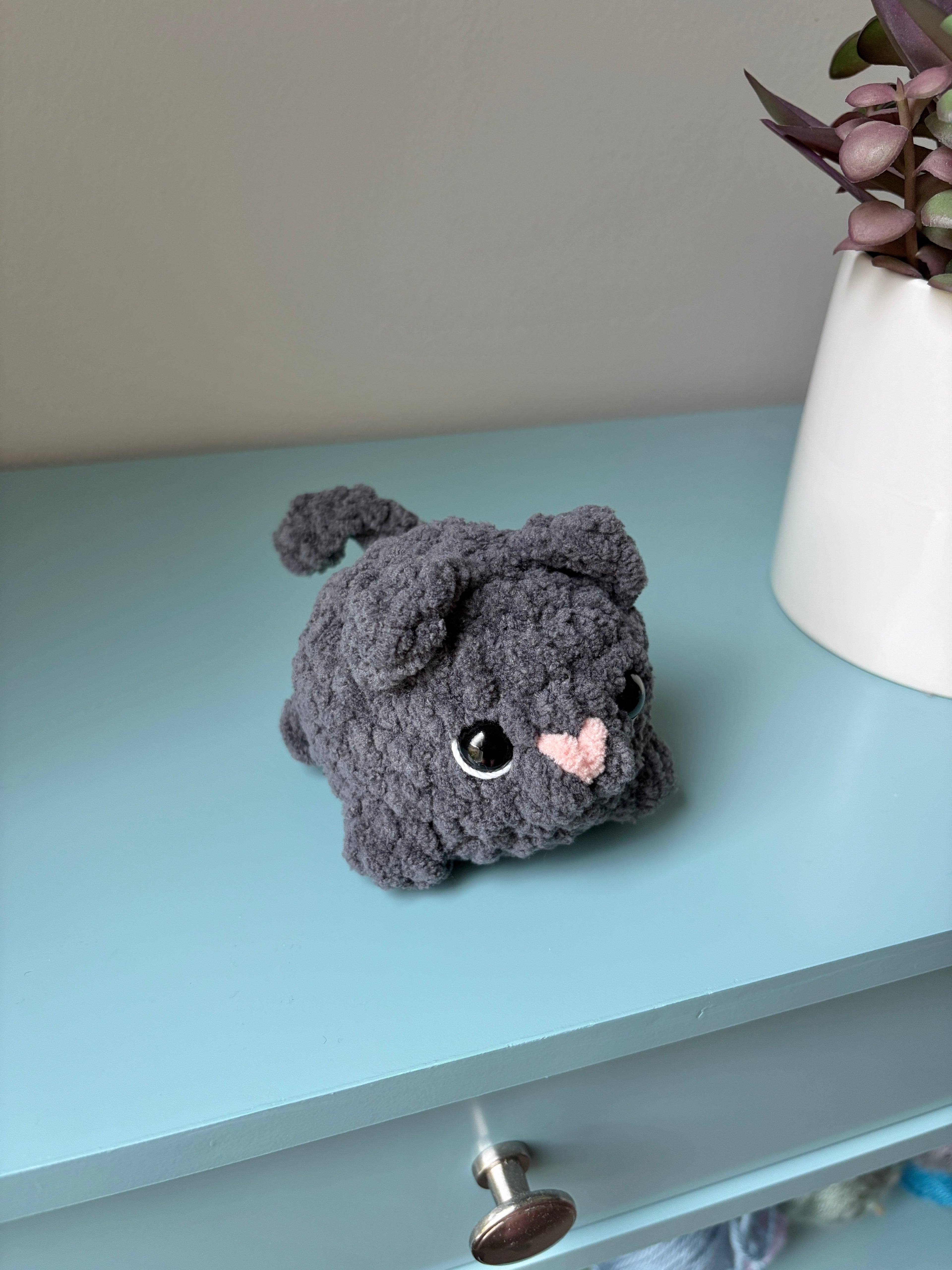 Cat - small