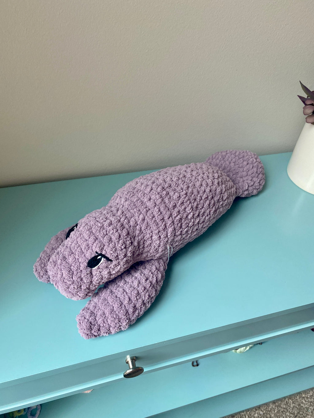 Milo the baby Manatee
