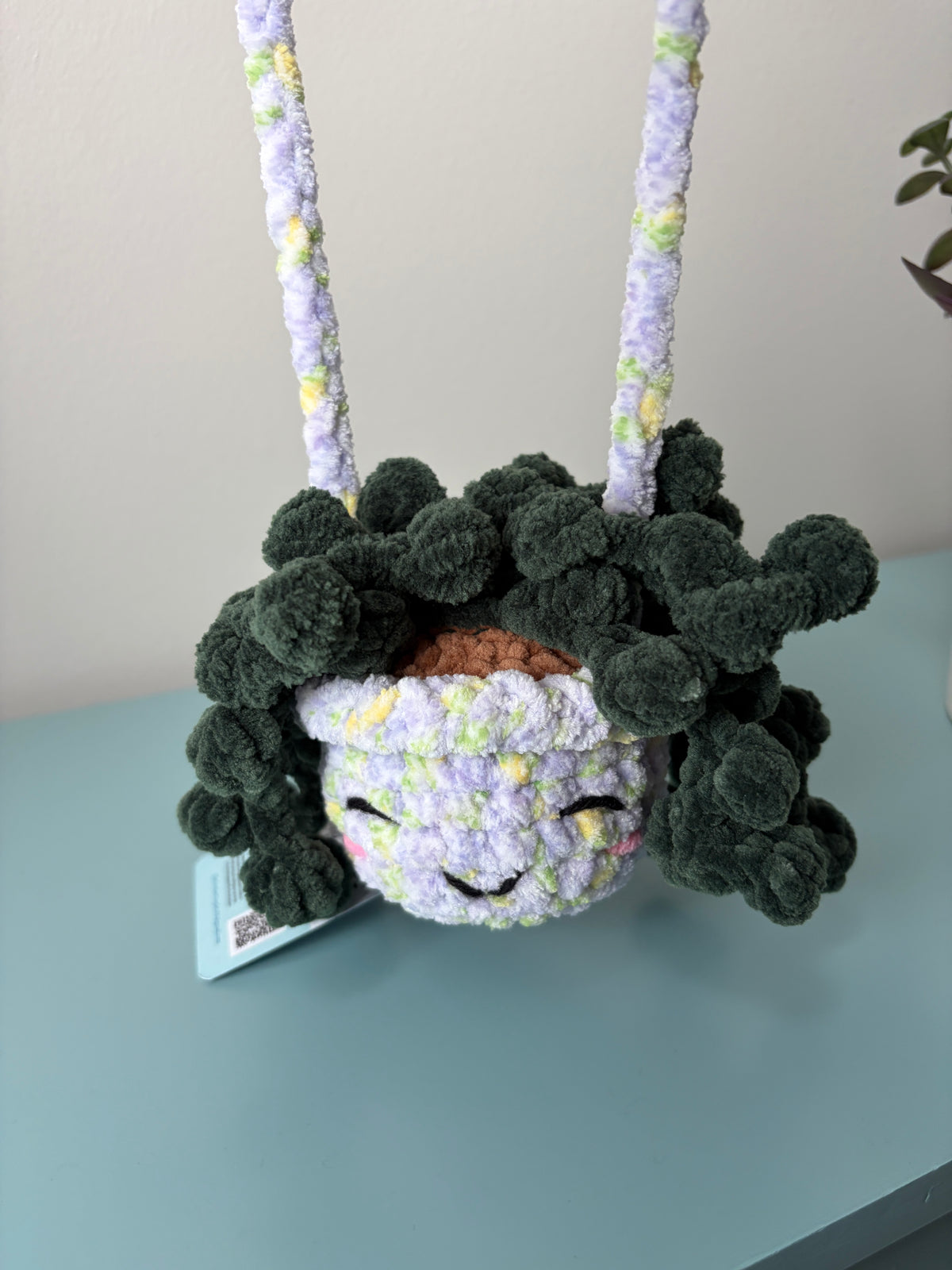 Hanging Plant - String of Pearls