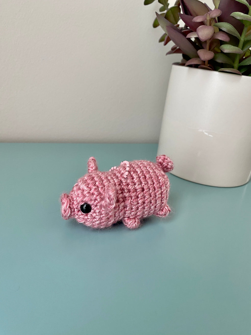Petunia the Pig