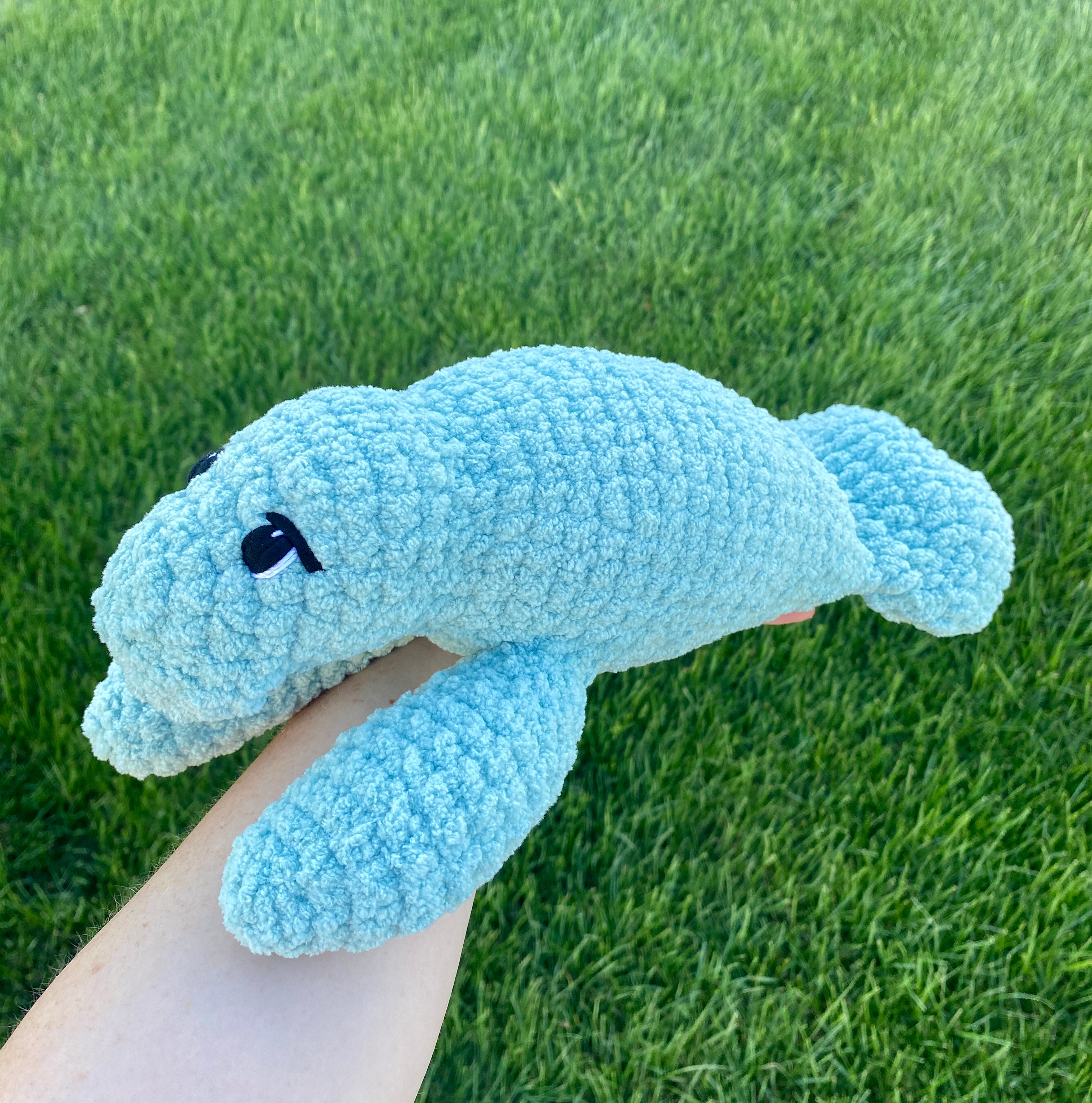Milo the baby Manatee