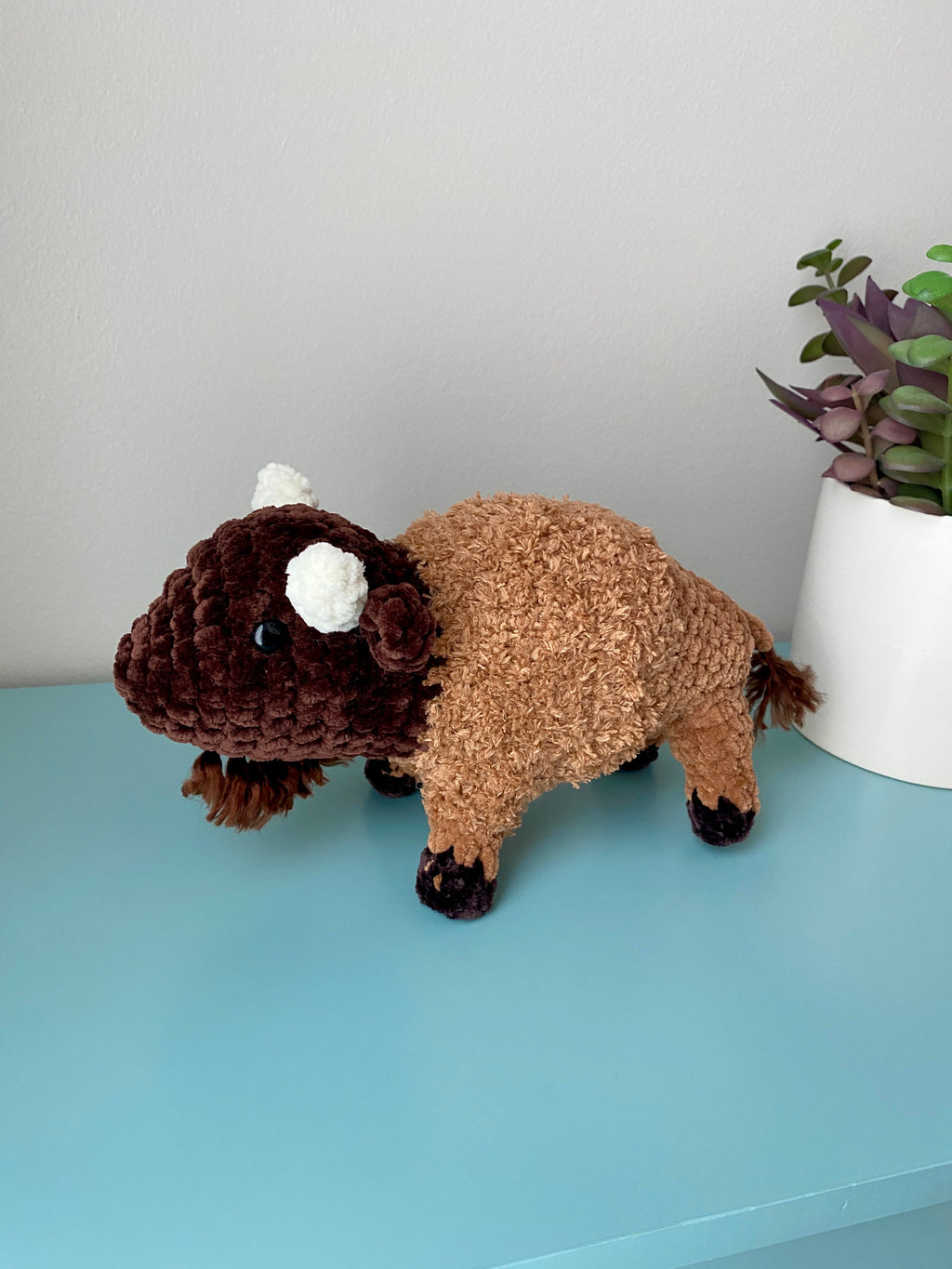 Bison