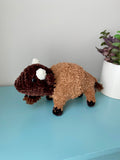 Bison